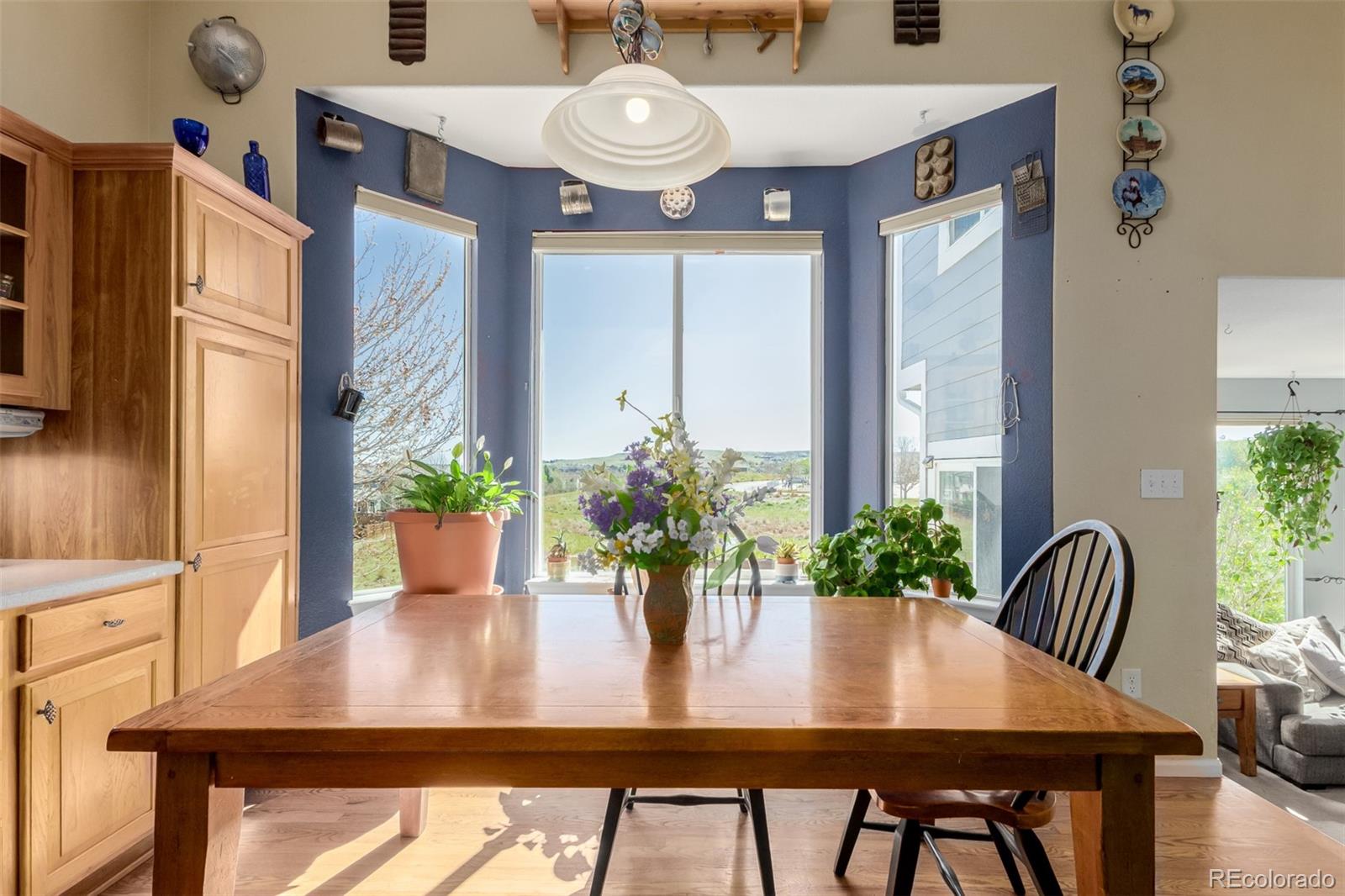 MLS Image #9 for 10554  atwood circle,littleton, Colorado