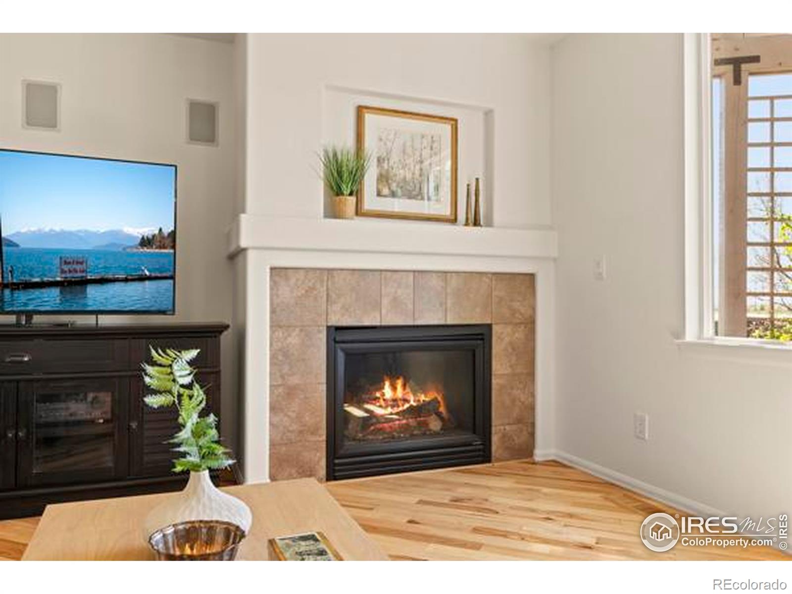 MLS Image #11 for 6117  gold dust road,timnath, Colorado