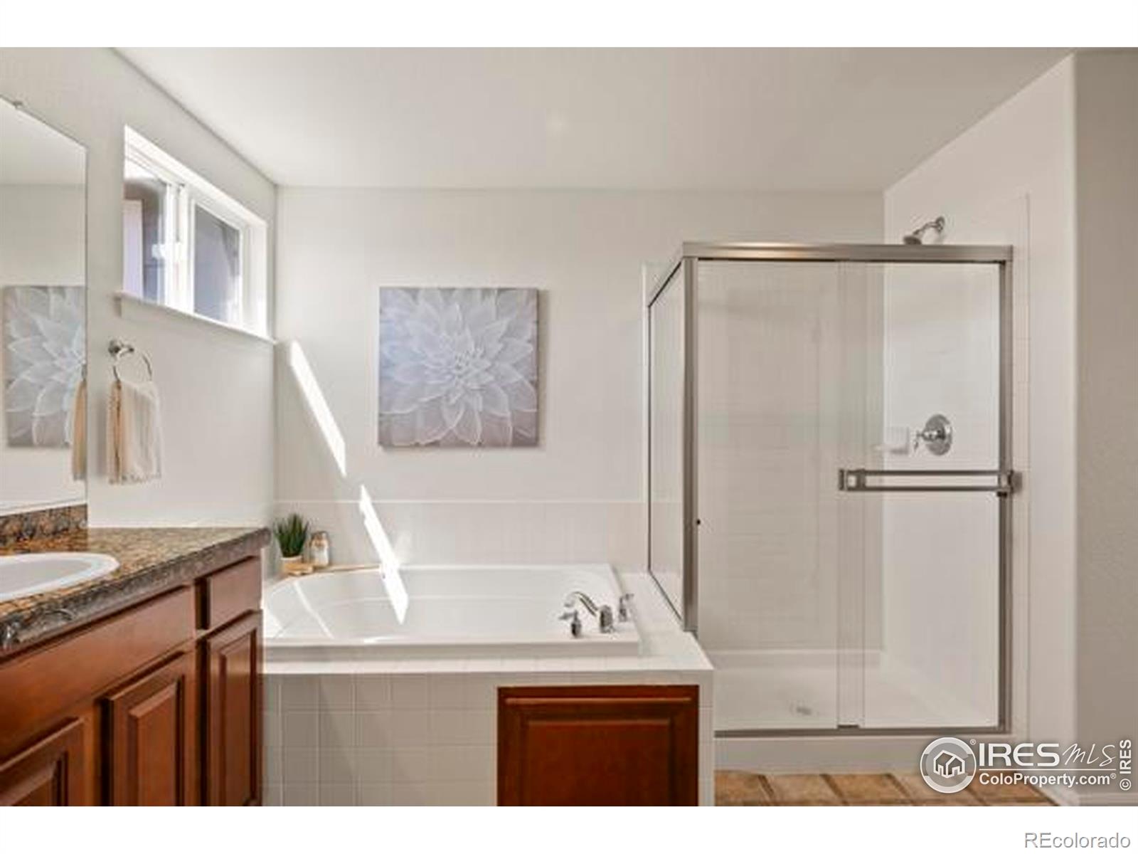 MLS Image #18 for 6117  gold dust road,timnath, Colorado