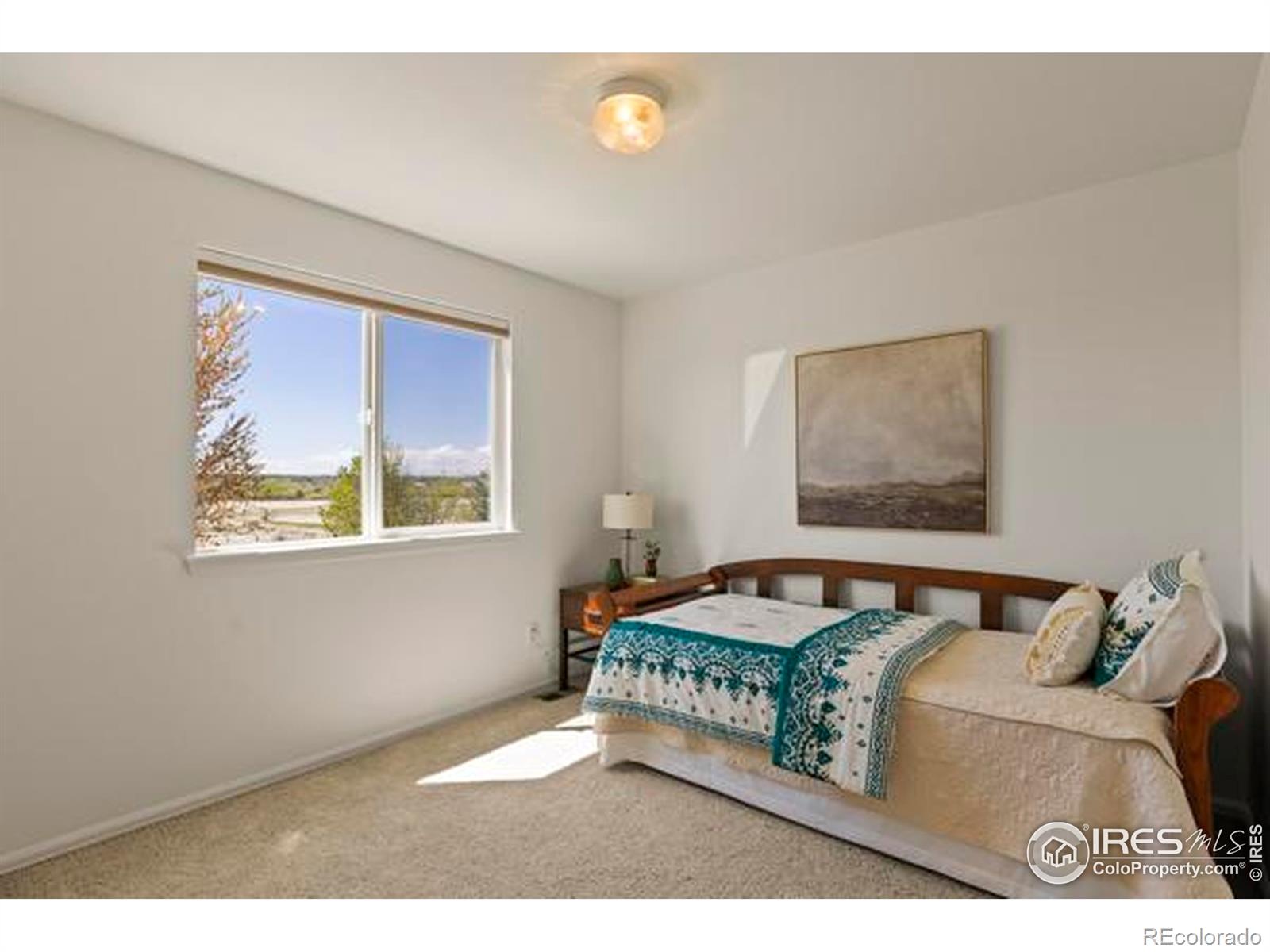 MLS Image #19 for 6117  gold dust road,timnath, Colorado