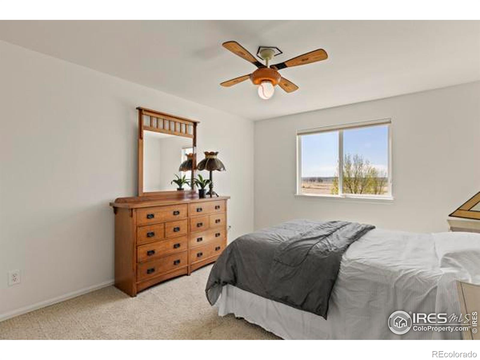 MLS Image #21 for 6117  gold dust road,timnath, Colorado