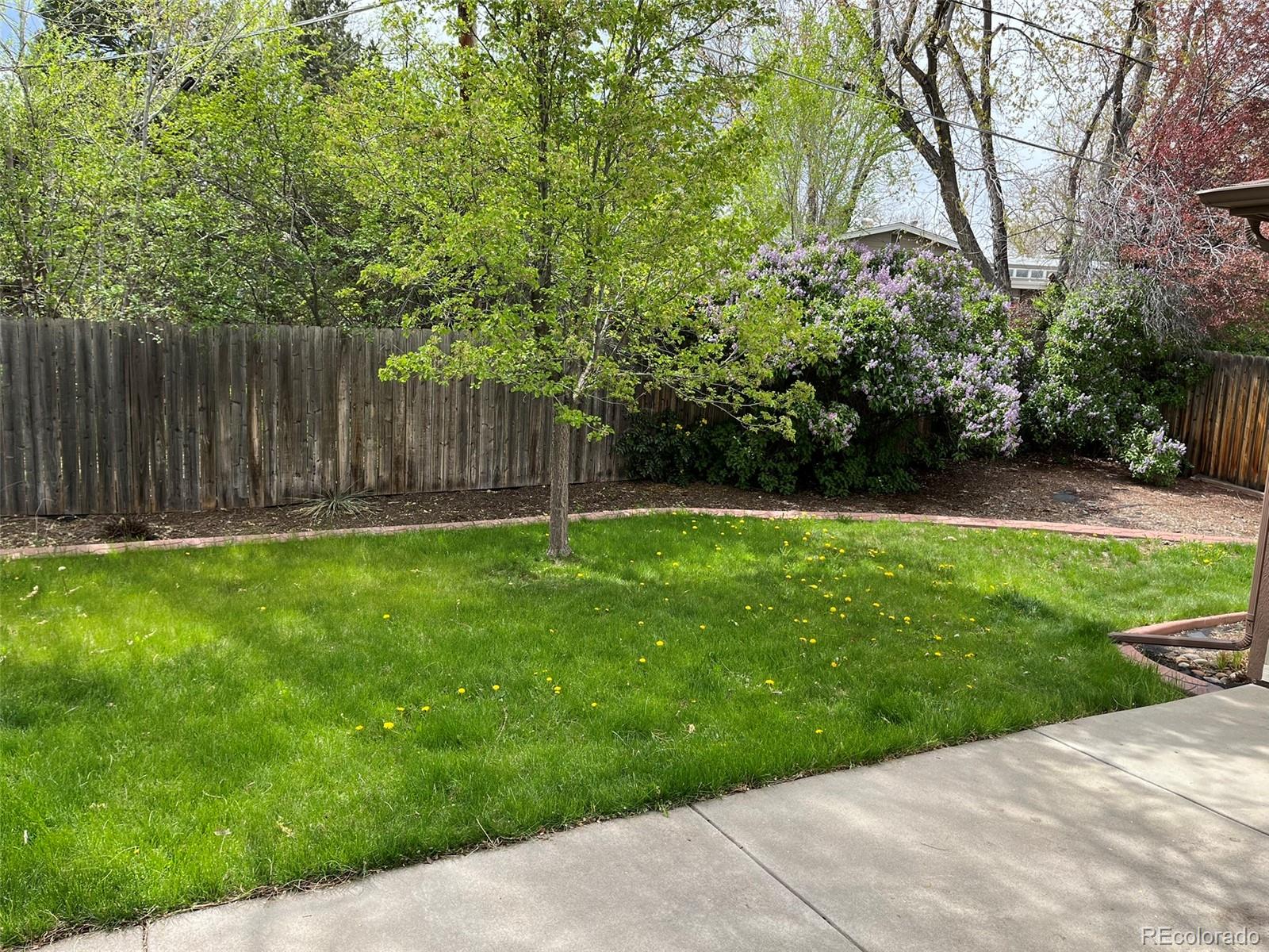 MLS Image #3 for 6085  simms street,arvada, Colorado