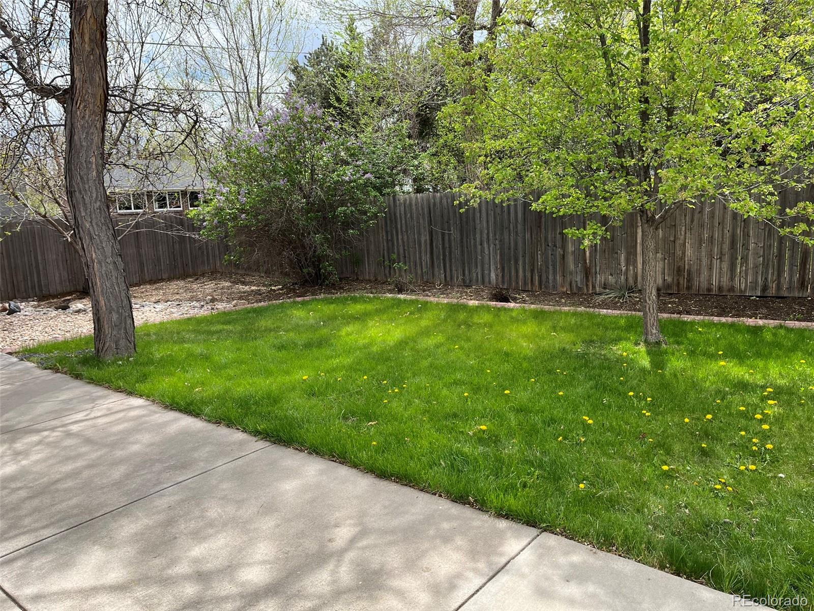 MLS Image #4 for 6085  simms street,arvada, Colorado