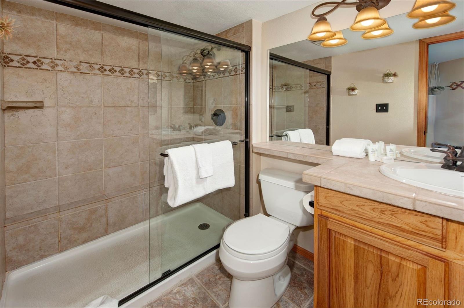 MLS Image #20 for 393  wild irishman road,keystone, Colorado