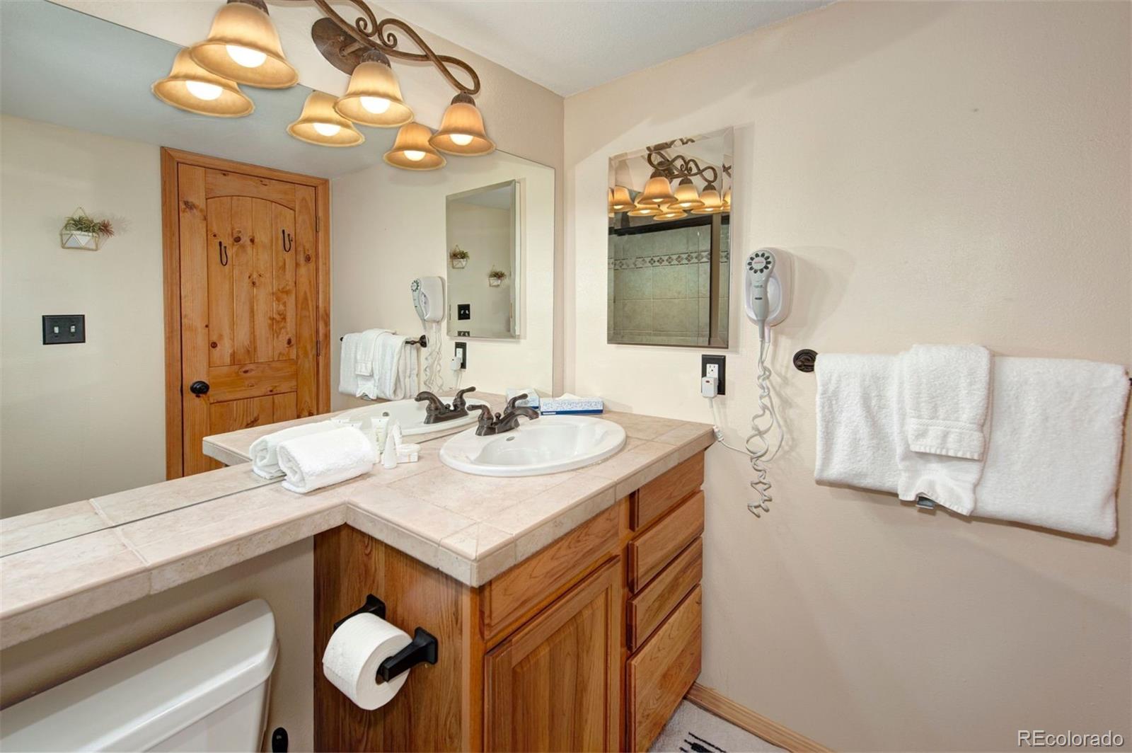 MLS Image #21 for 393  wild irishman road,keystone, Colorado