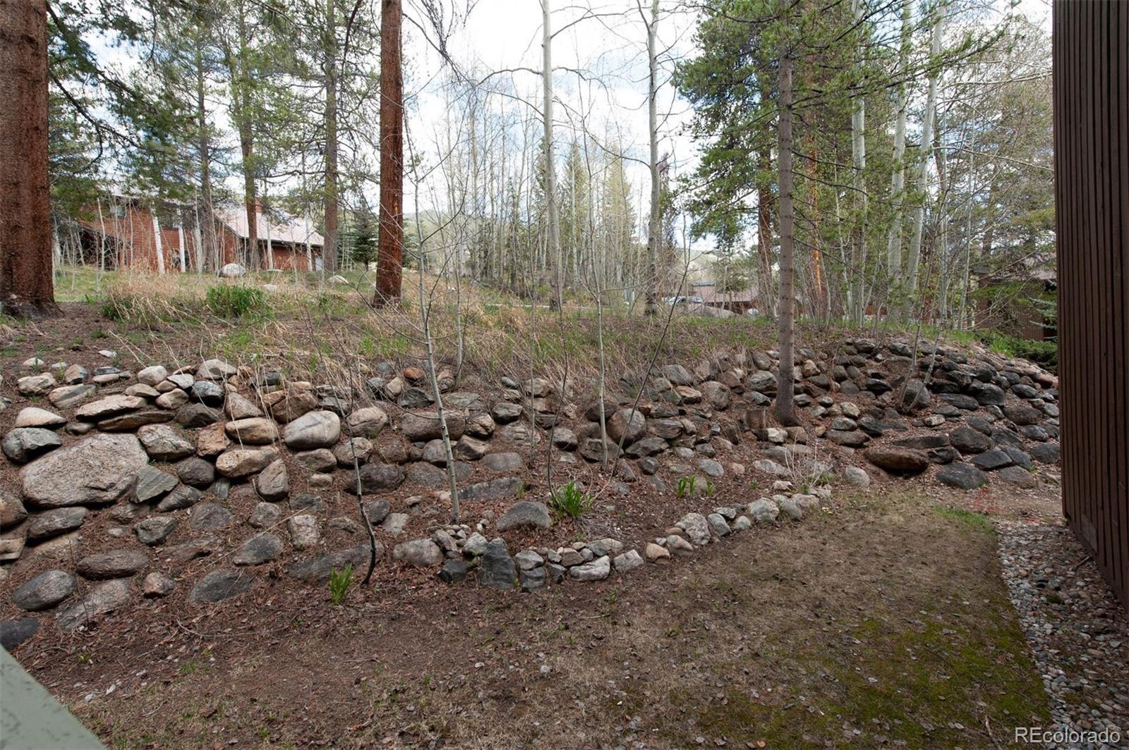 MLS Image #27 for 393  wild irishman road,keystone, Colorado