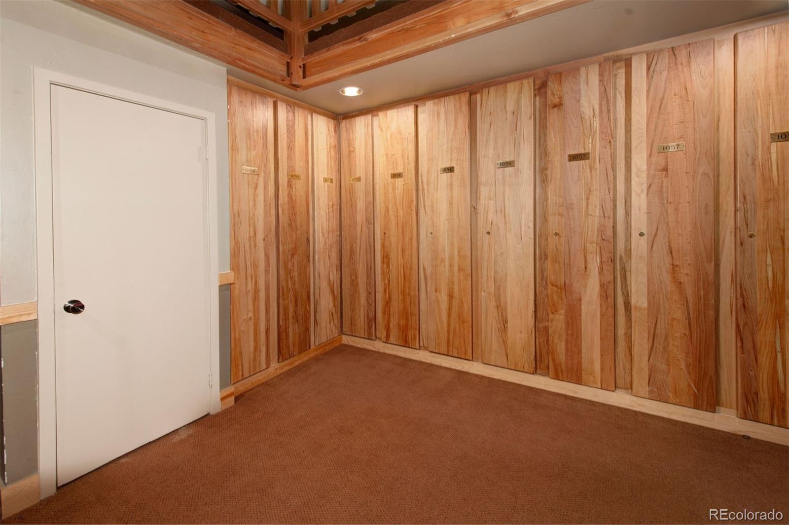 MLS Image #32 for 393  wild irishman road,keystone, Colorado