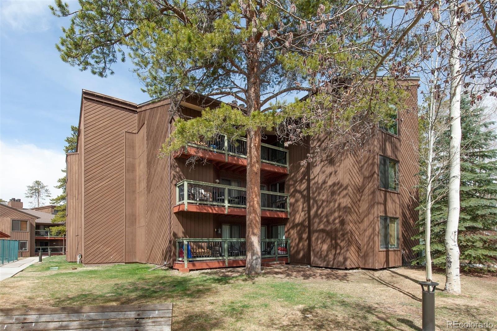 MLS Image #38 for 393  wild irishman road,keystone, Colorado