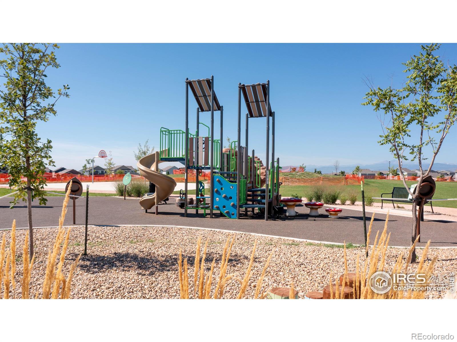 MLS Image #26 for 4550  bishopsgate drive,windsor, Colorado