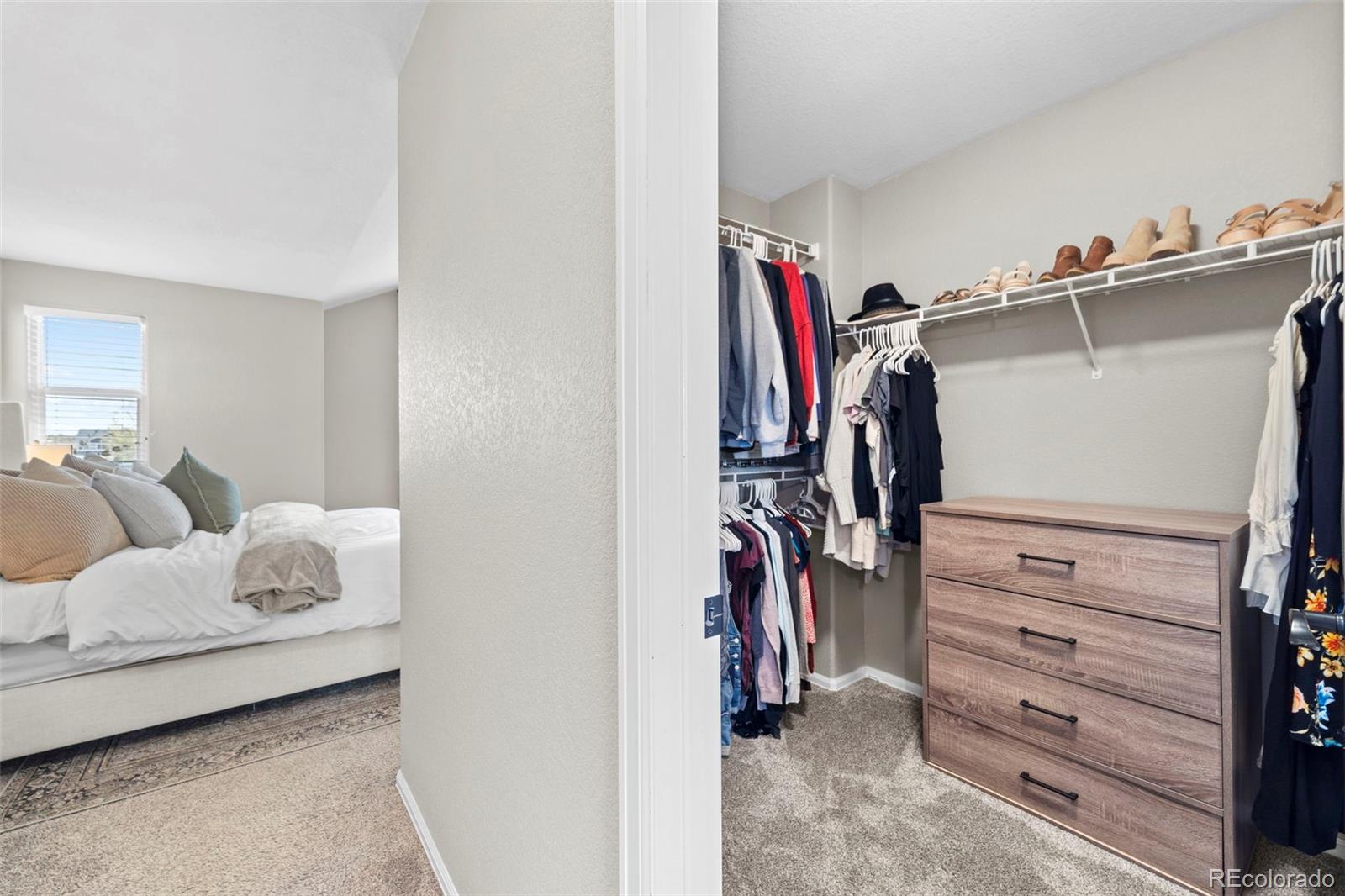 MLS Image #32 for 10418  silver stirrup drive,colorado springs, Colorado