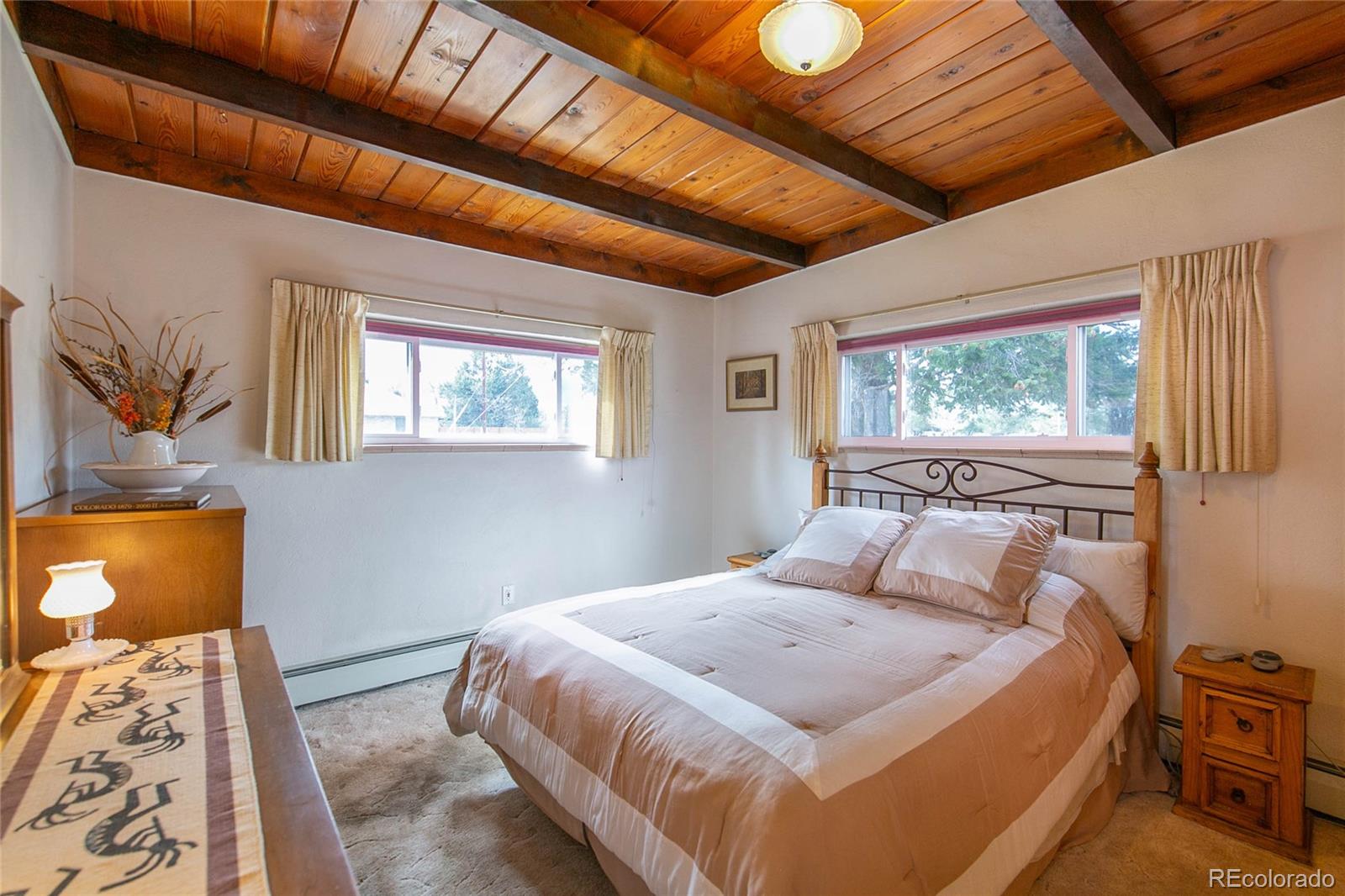 MLS Image #6 for 438  crossman avenue,buena vista, Colorado