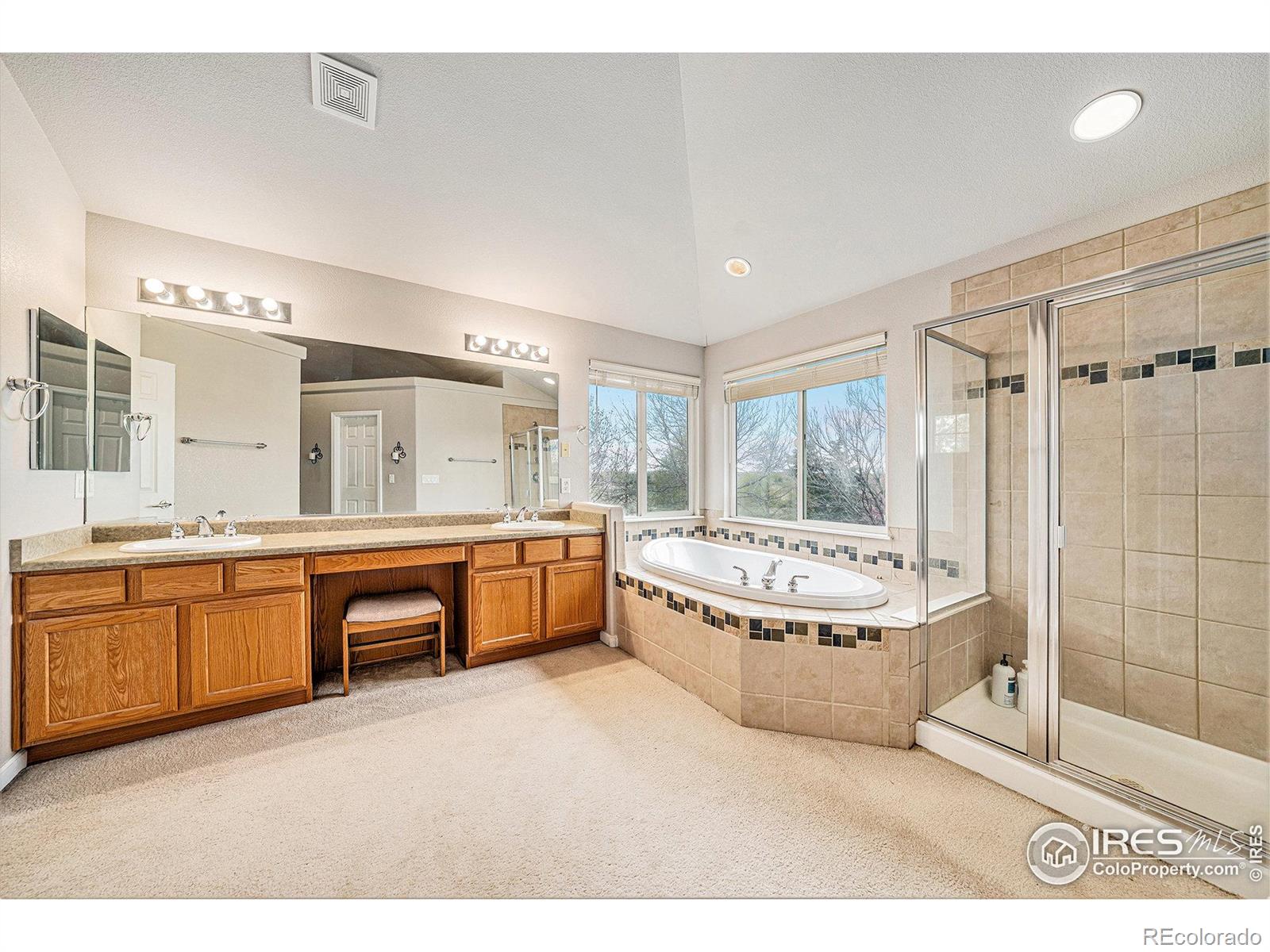 MLS Image #19 for 5033  blackhawk drive,windsor, Colorado