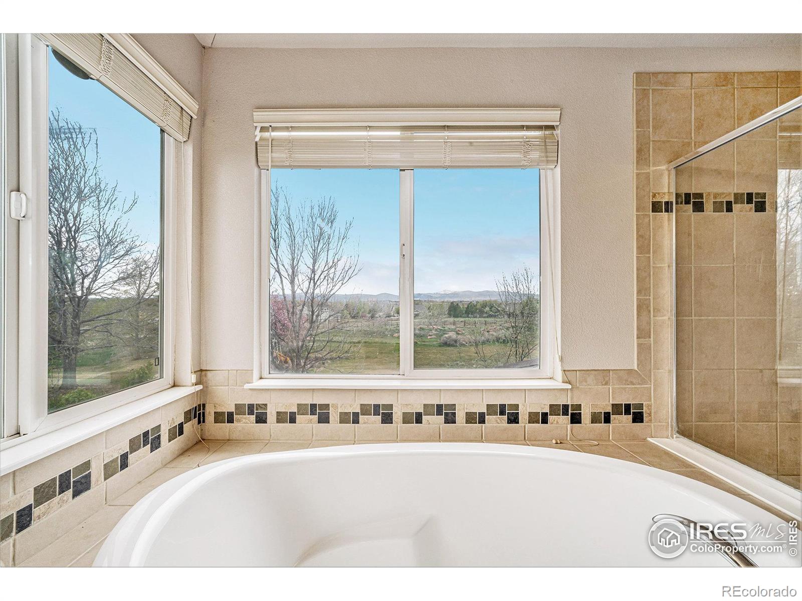MLS Image #20 for 5033  blackhawk drive,windsor, Colorado