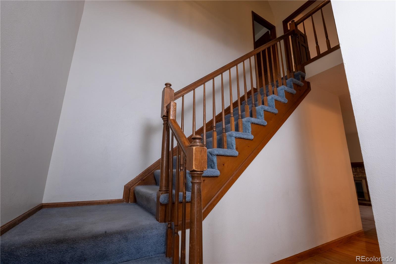 MLS Image #8 for 7334 s moore street,littleton, Colorado