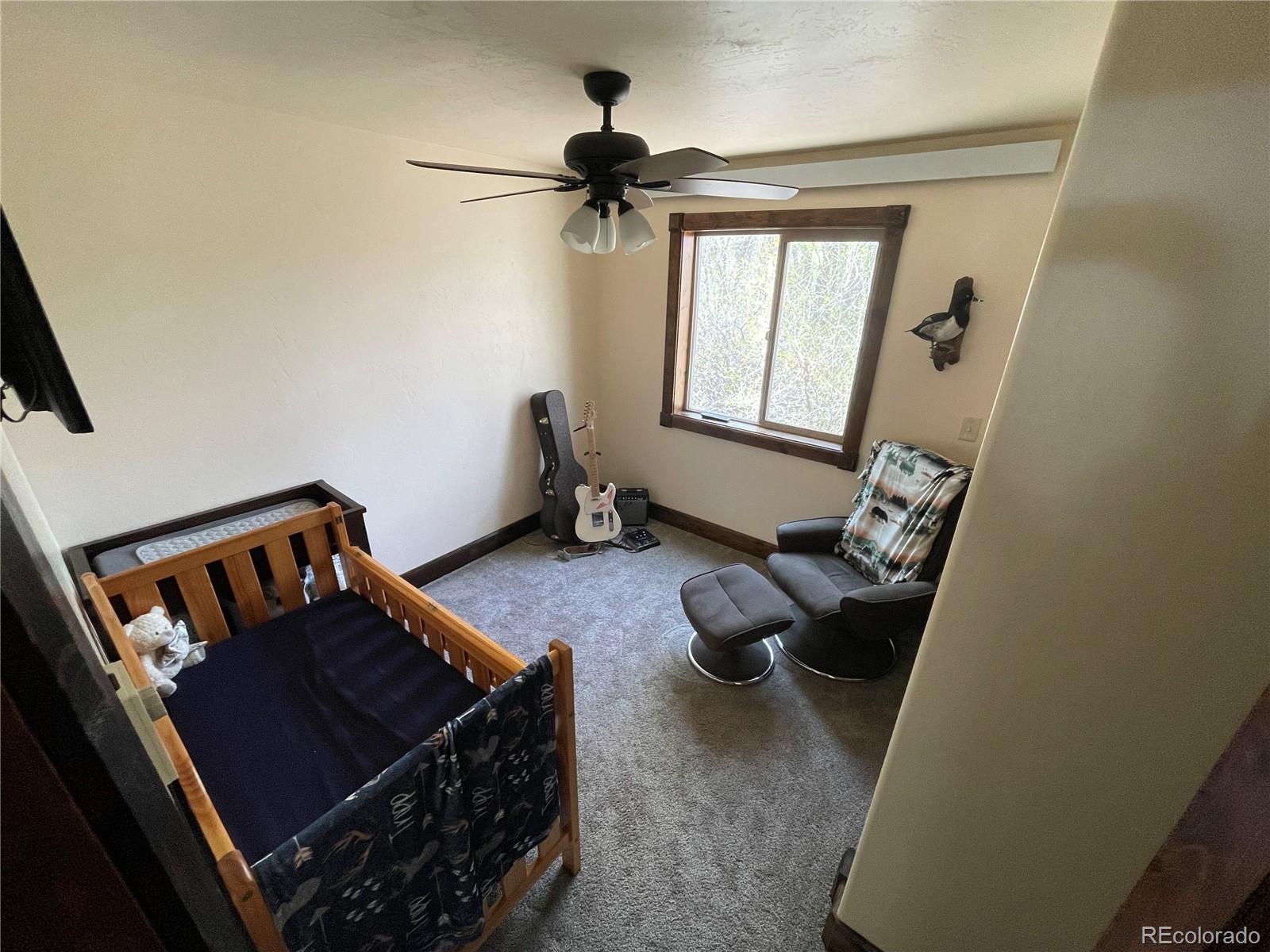 MLS Image #15 for 53580  highway 330 ,collbran, Colorado
