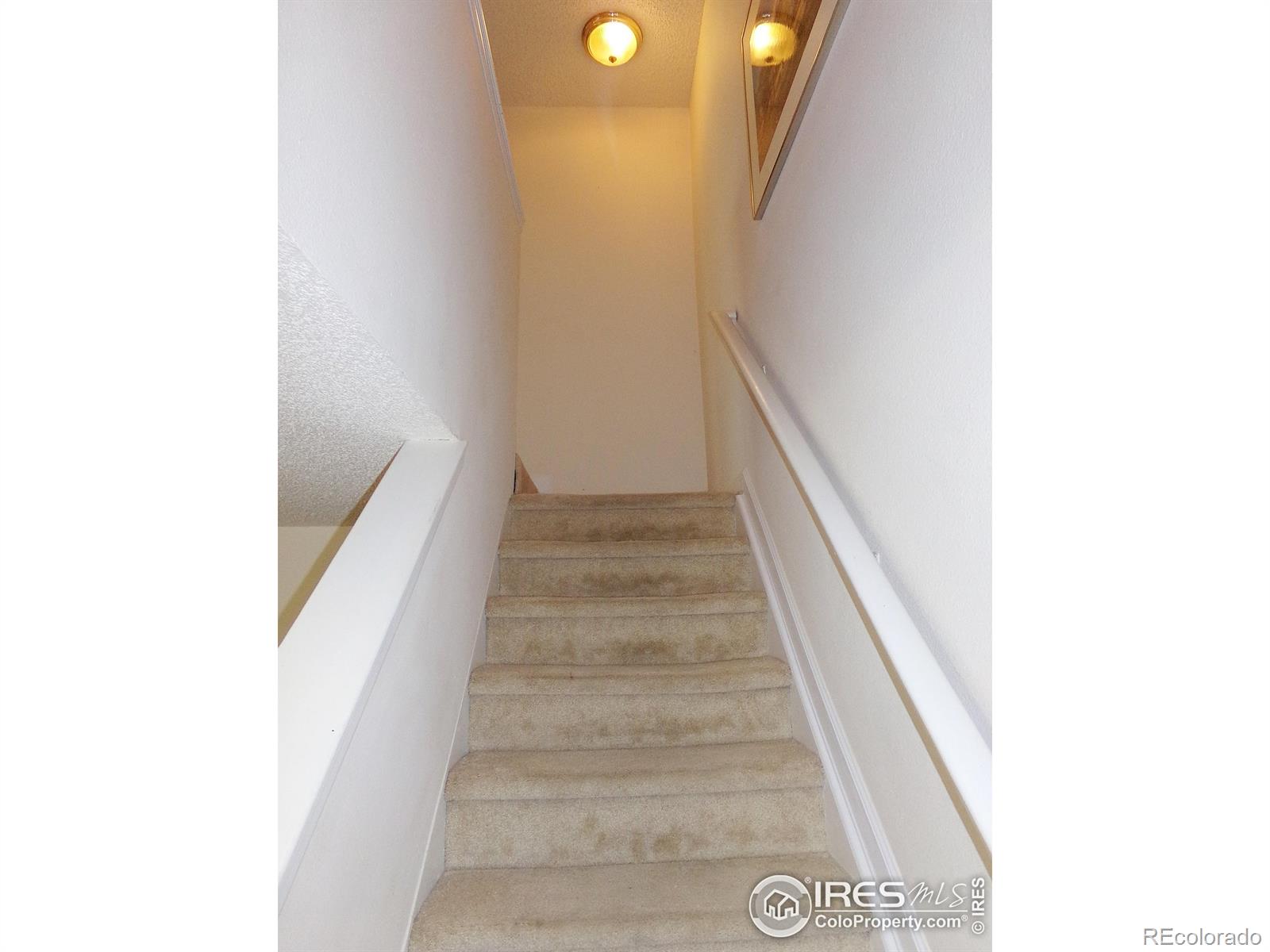 MLS Image #12 for 1015  alta street,longmont, Colorado