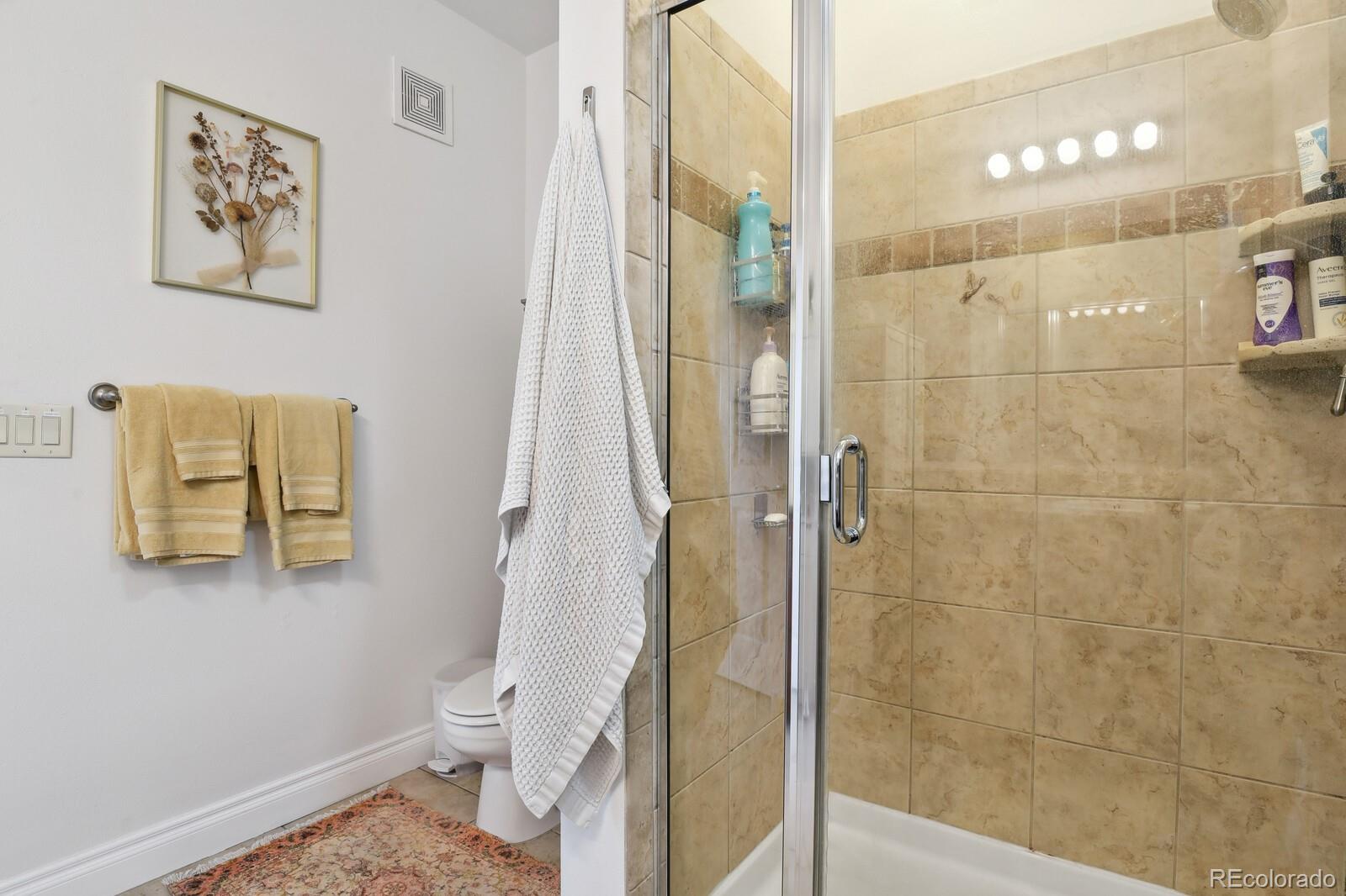 MLS Image #15 for 1700 n emerson street,denver, Colorado