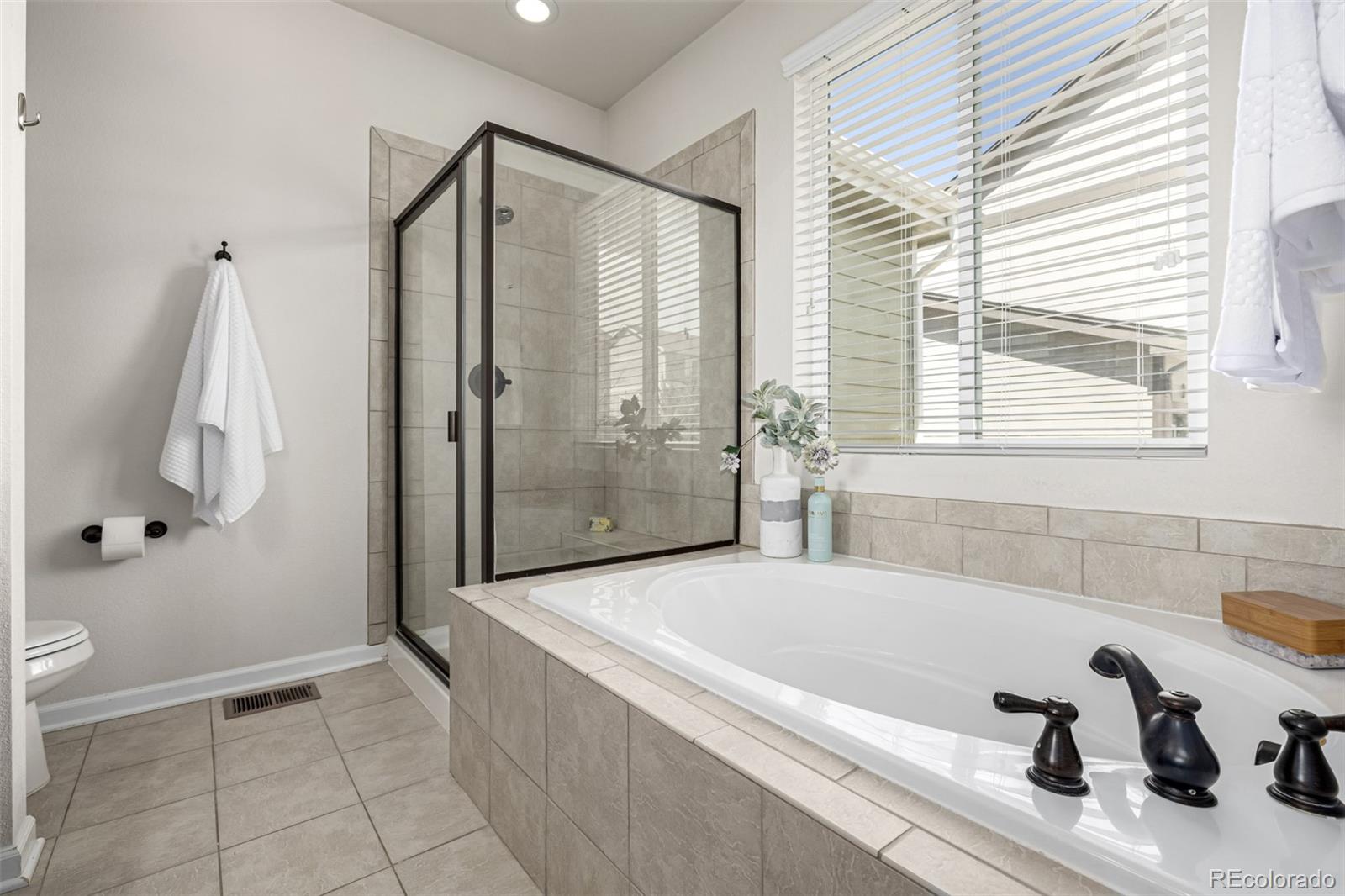 MLS Image #12 for 7814  grady circle,castle rock, Colorado