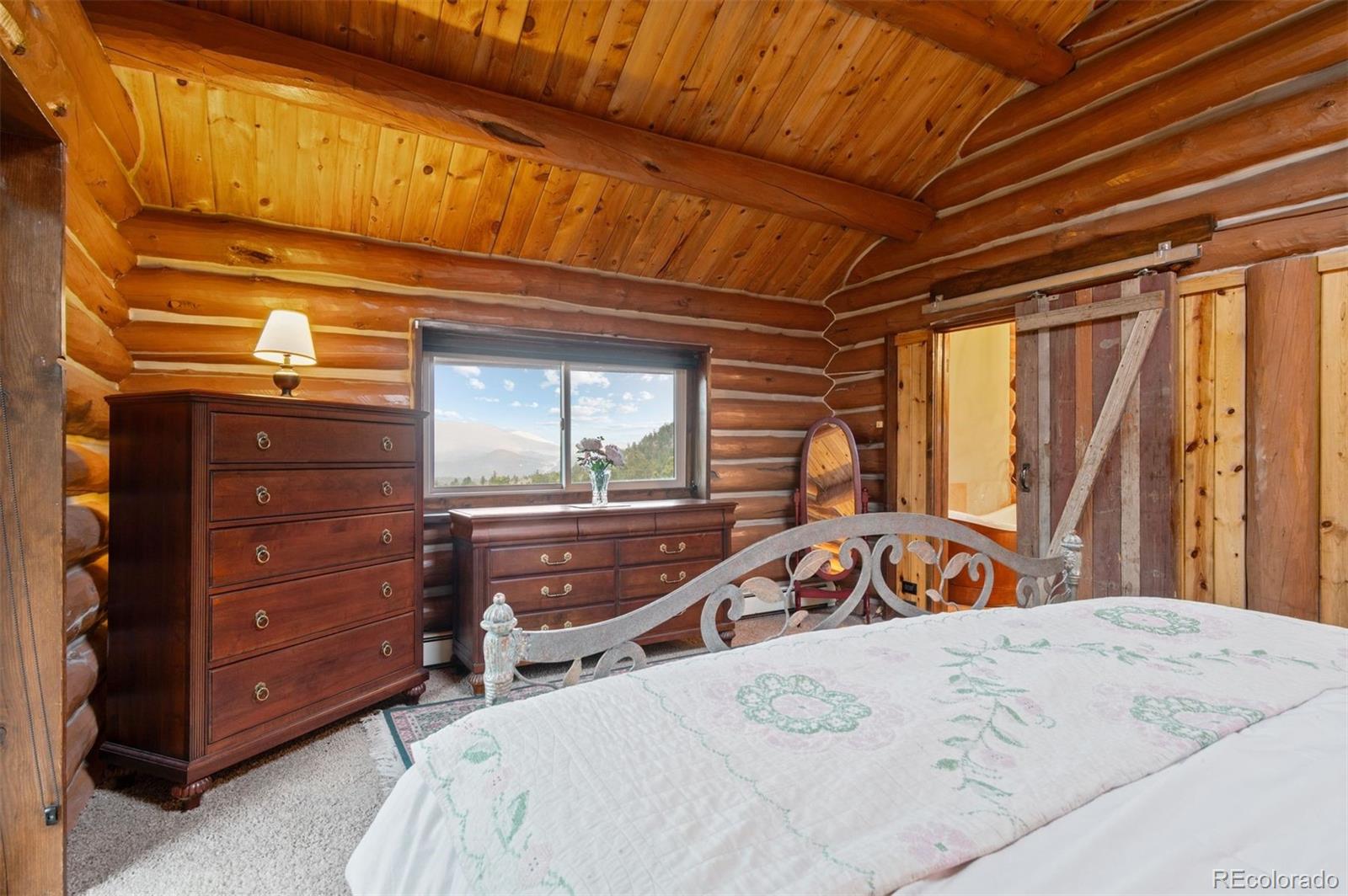 MLS Image #24 for 6241  kilimanjaro drive,evergreen, Colorado
