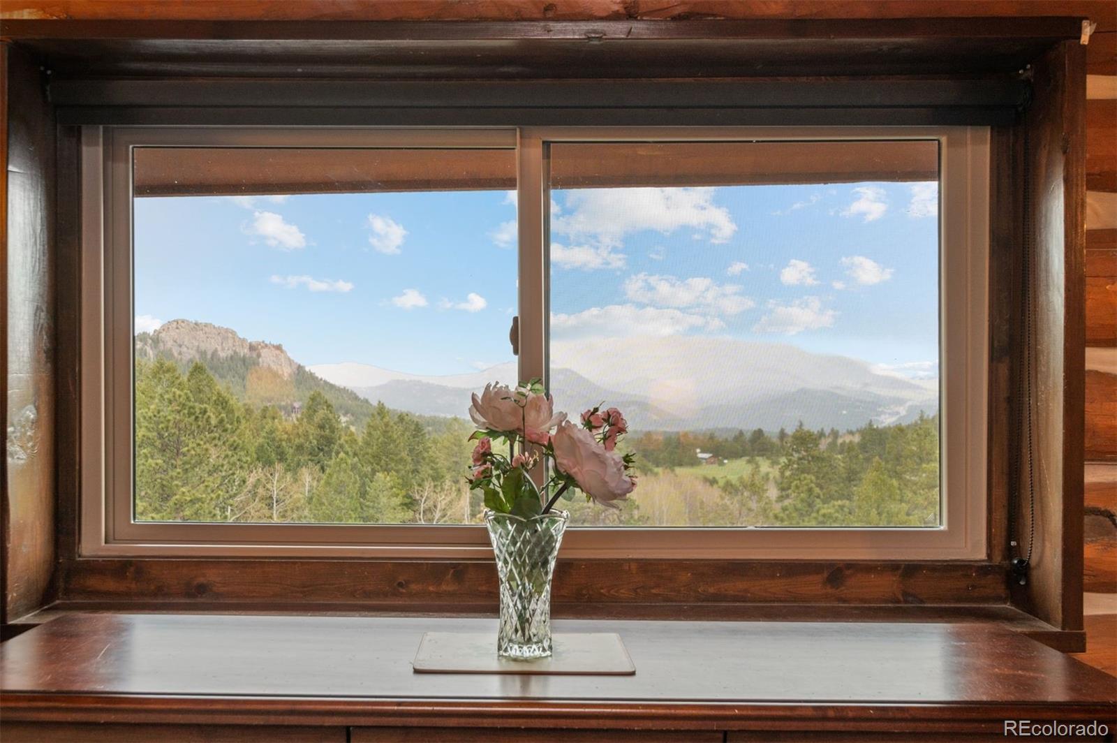 MLS Image #25 for 6241  kilimanjaro drive,evergreen, Colorado