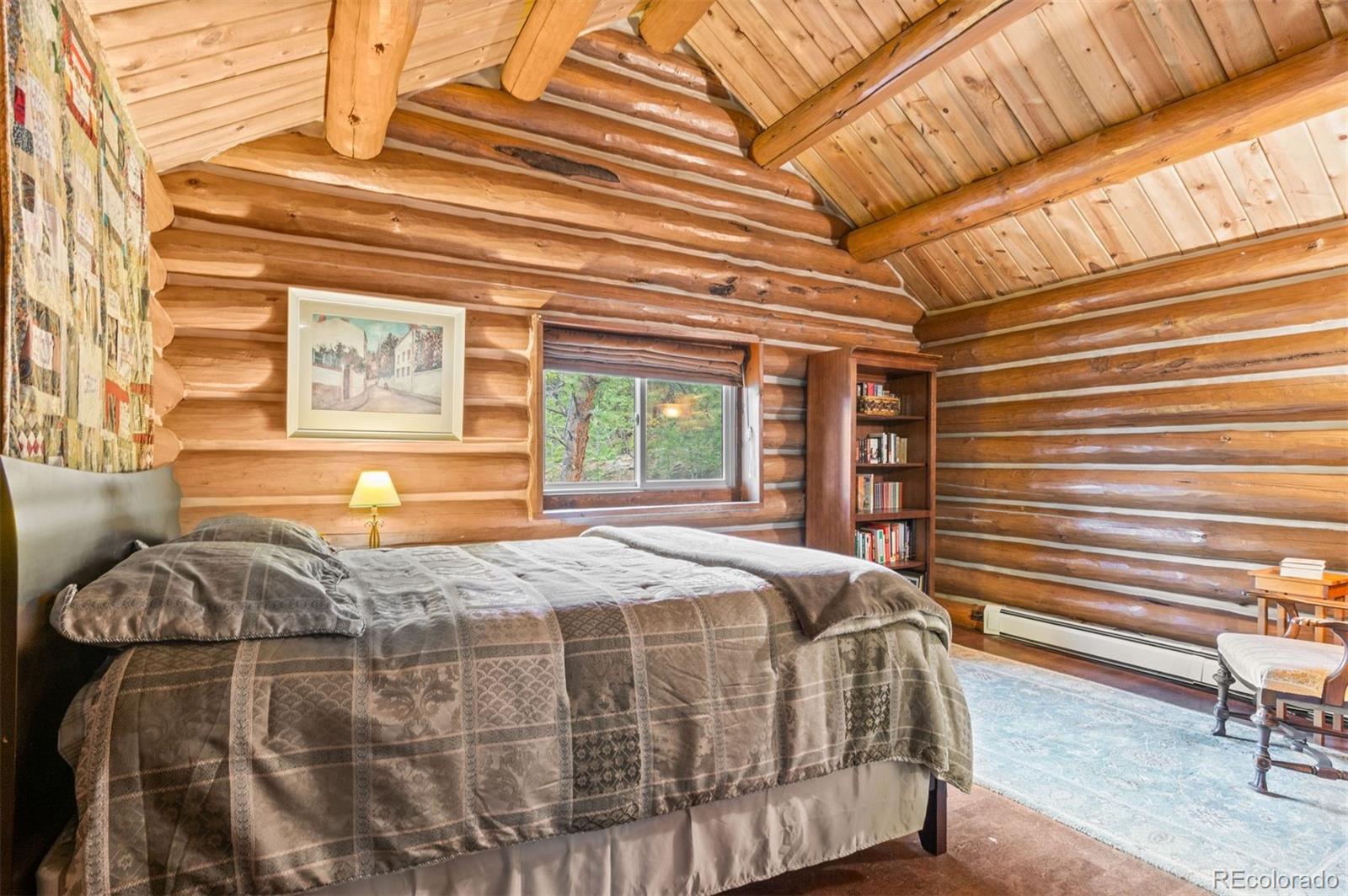 MLS Image #29 for 6241  kilimanjaro drive,evergreen, Colorado