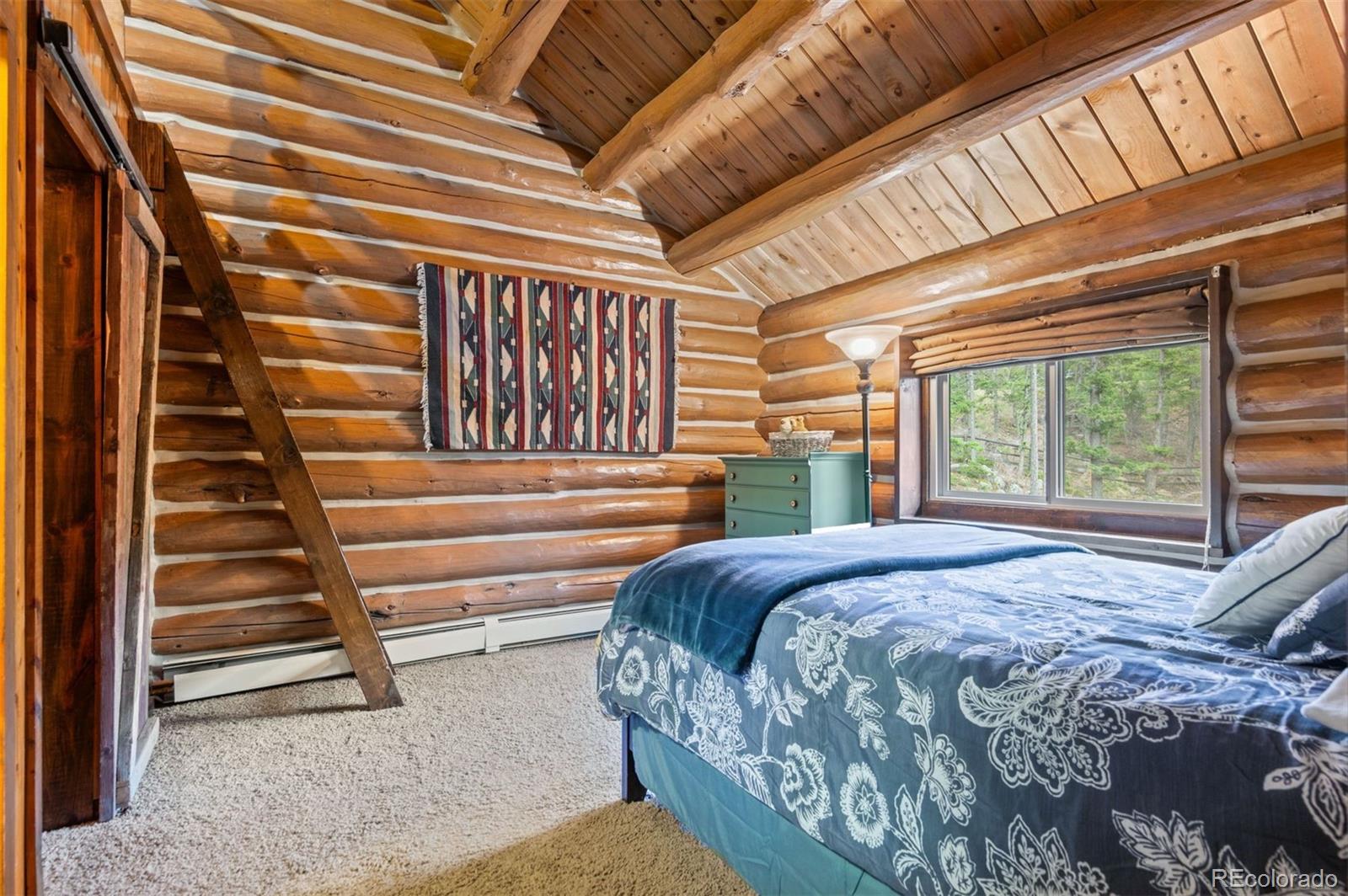 MLS Image #32 for 6241  kilimanjaro drive,evergreen, Colorado