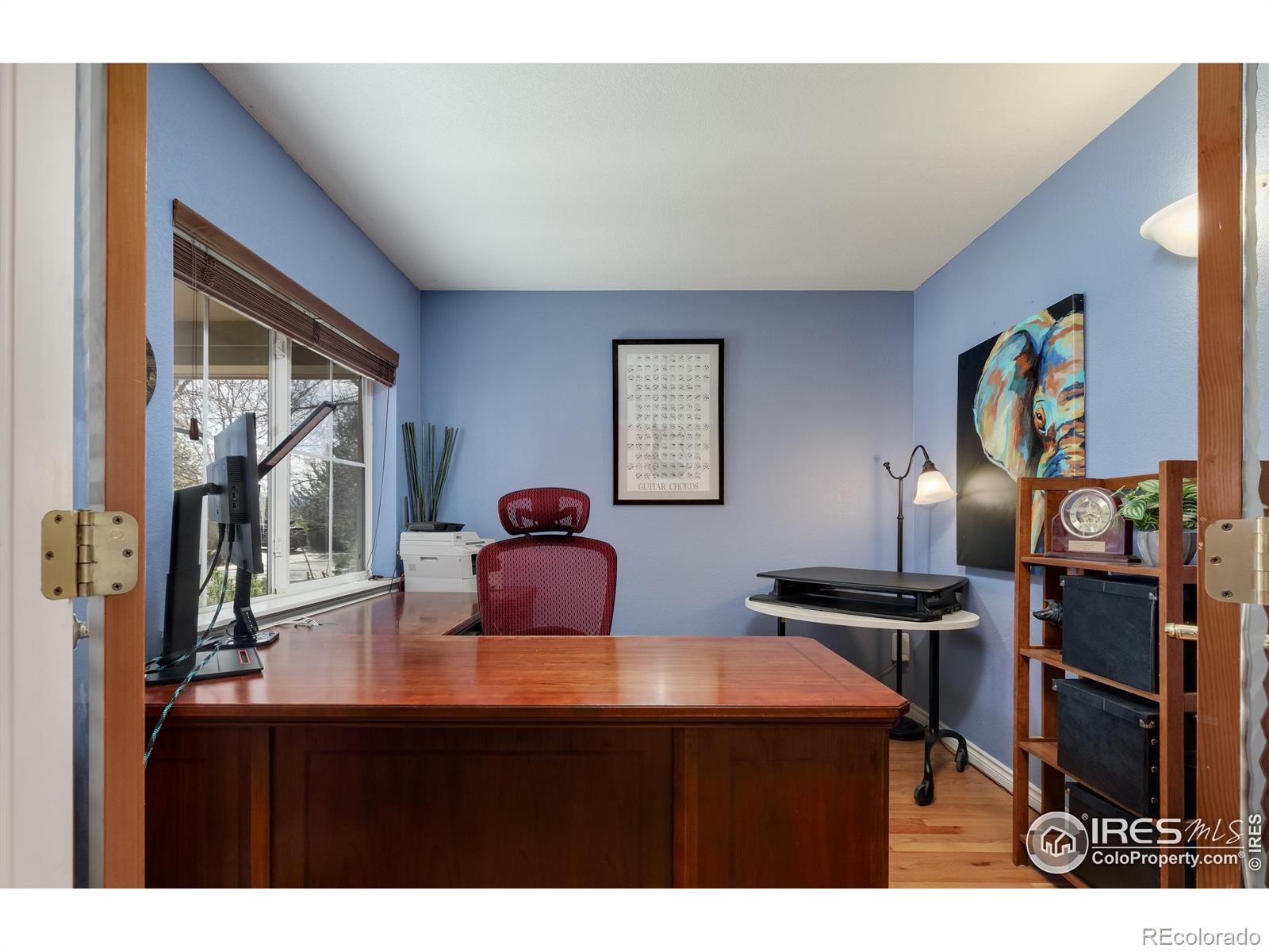MLS Image #13 for 914  snowberry street,longmont, Colorado