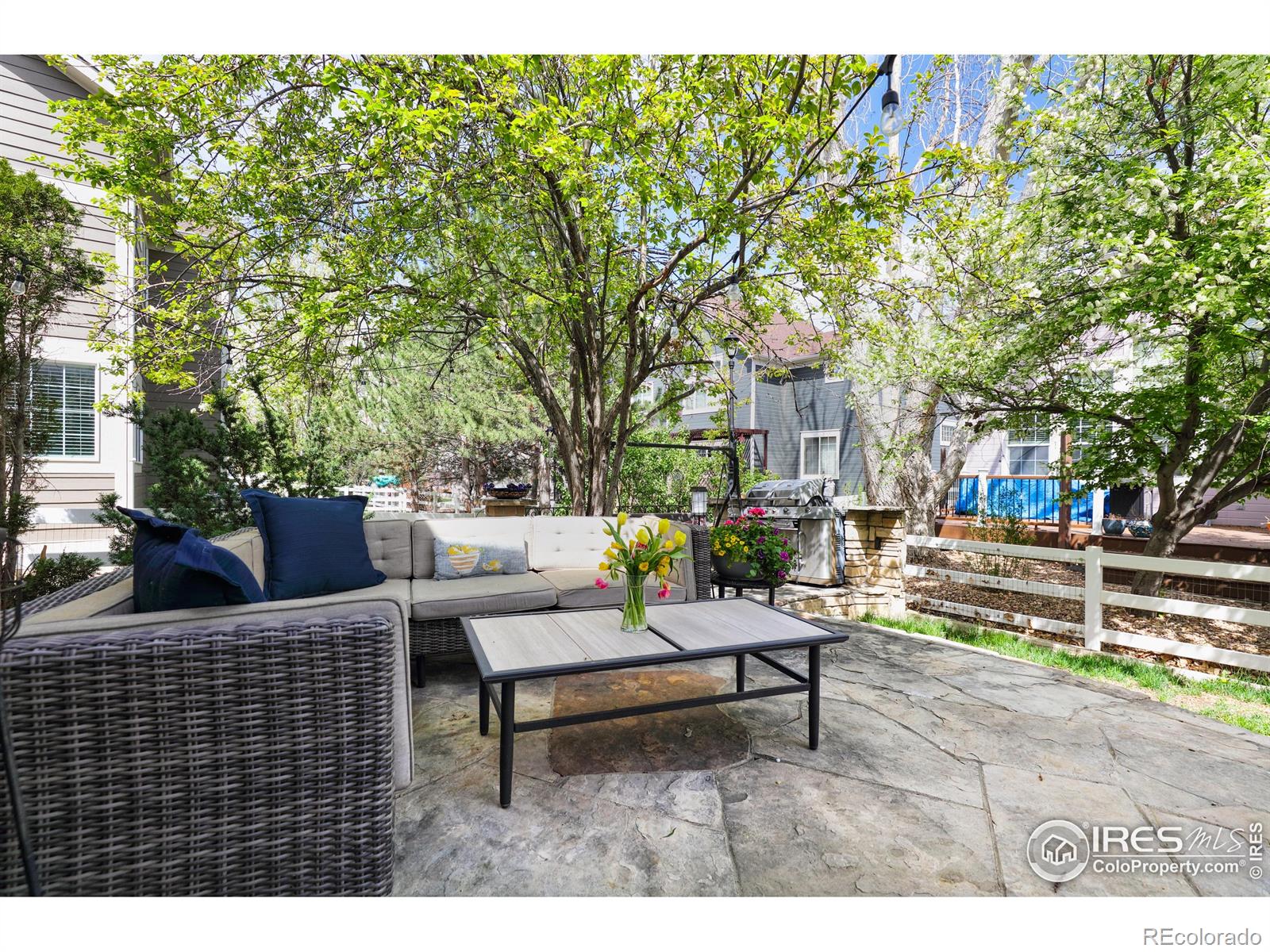 MLS Image #14 for 914  snowberry street,longmont, Colorado