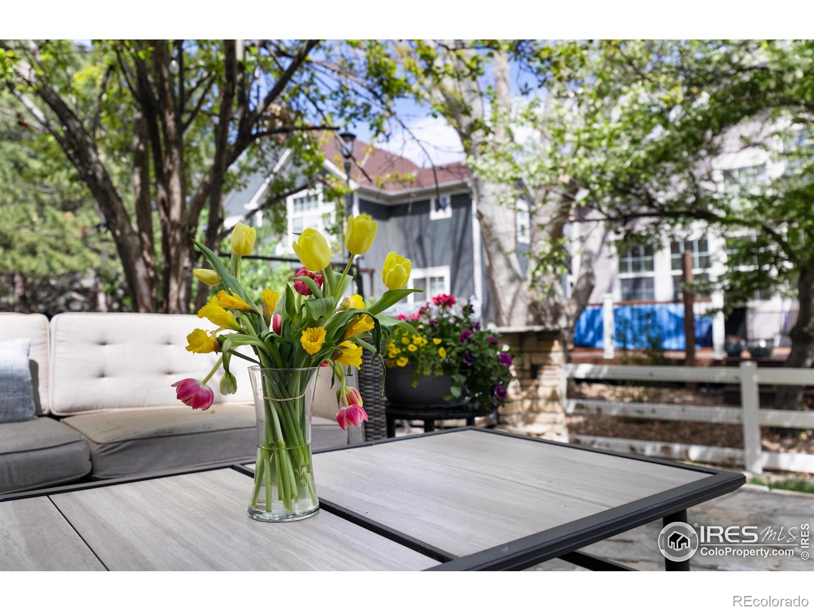 MLS Image #15 for 914  snowberry street,longmont, Colorado