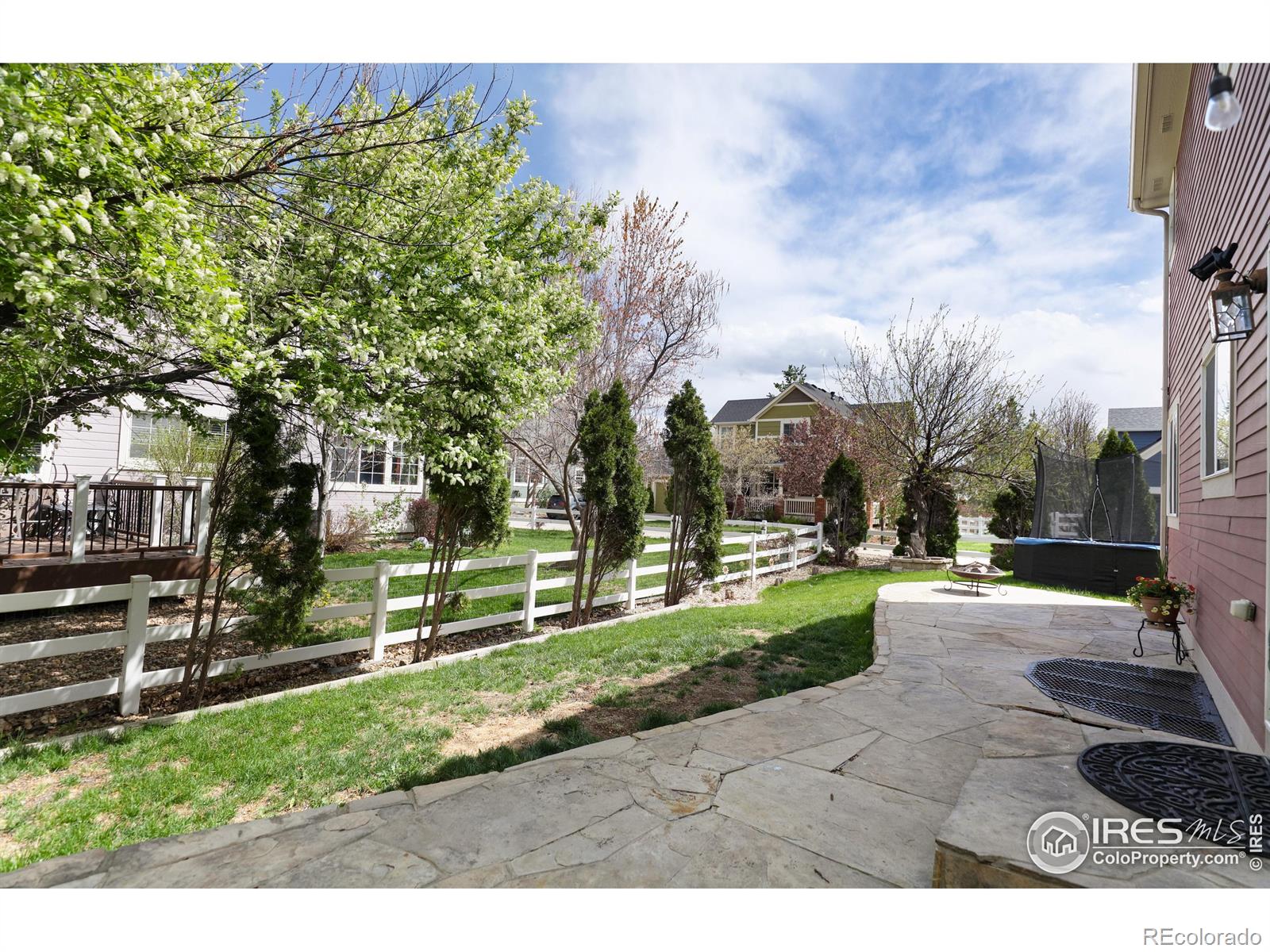 MLS Image #16 for 914  snowberry street,longmont, Colorado