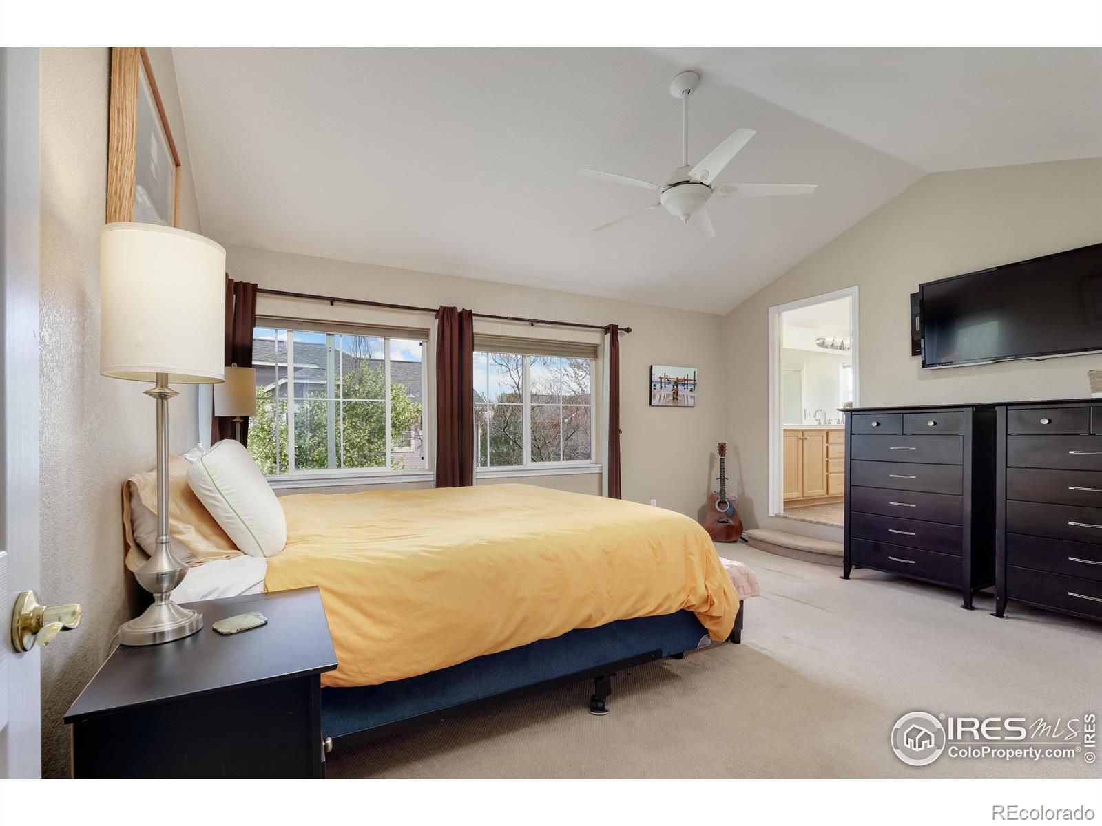 MLS Image #17 for 914  snowberry street,longmont, Colorado