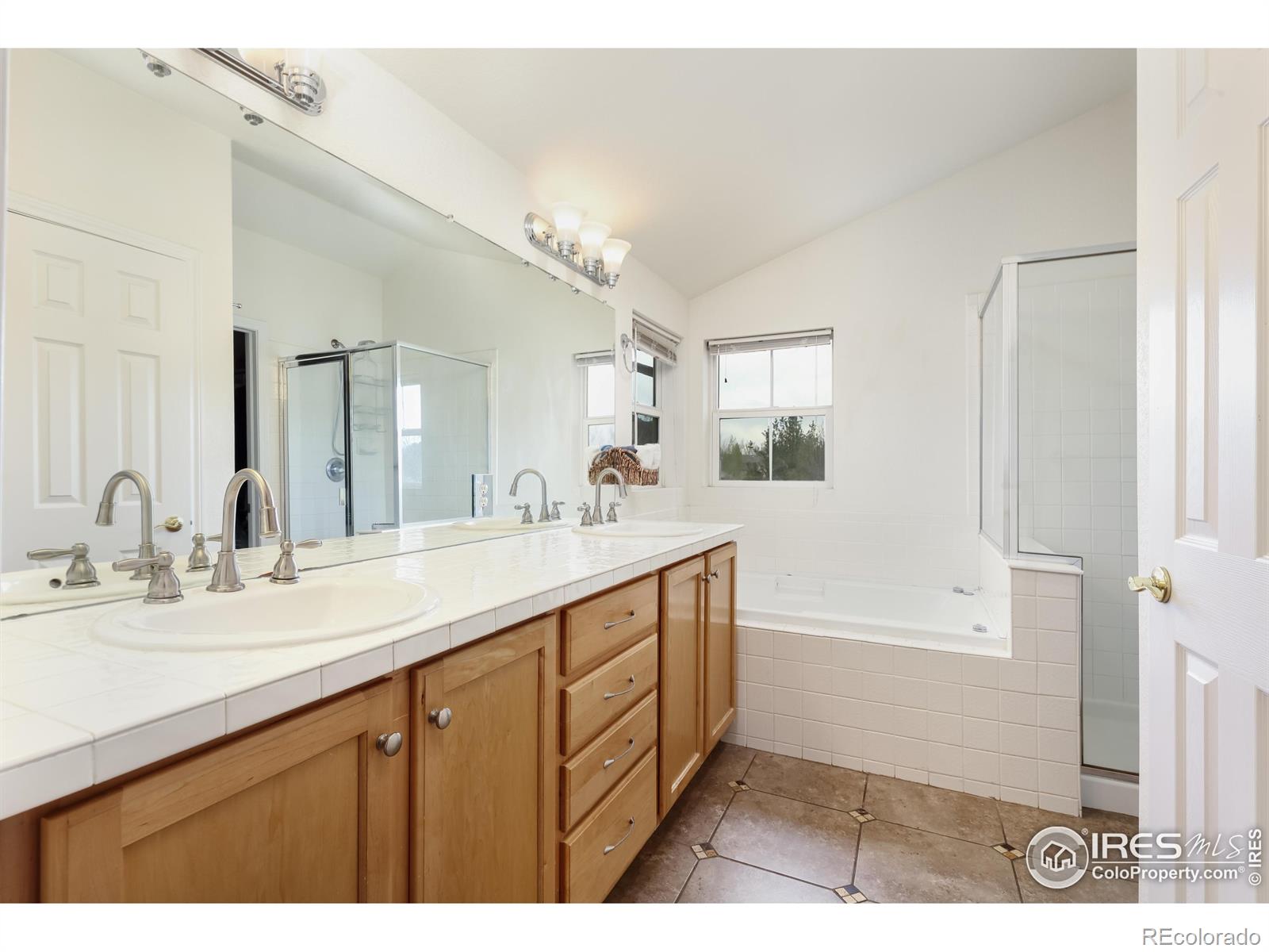 MLS Image #19 for 914  snowberry street,longmont, Colorado