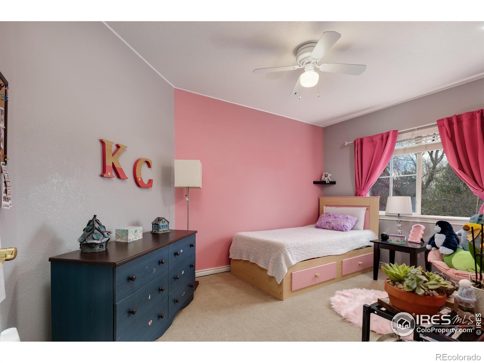 MLS Image #21 for 914  snowberry street,longmont, Colorado
