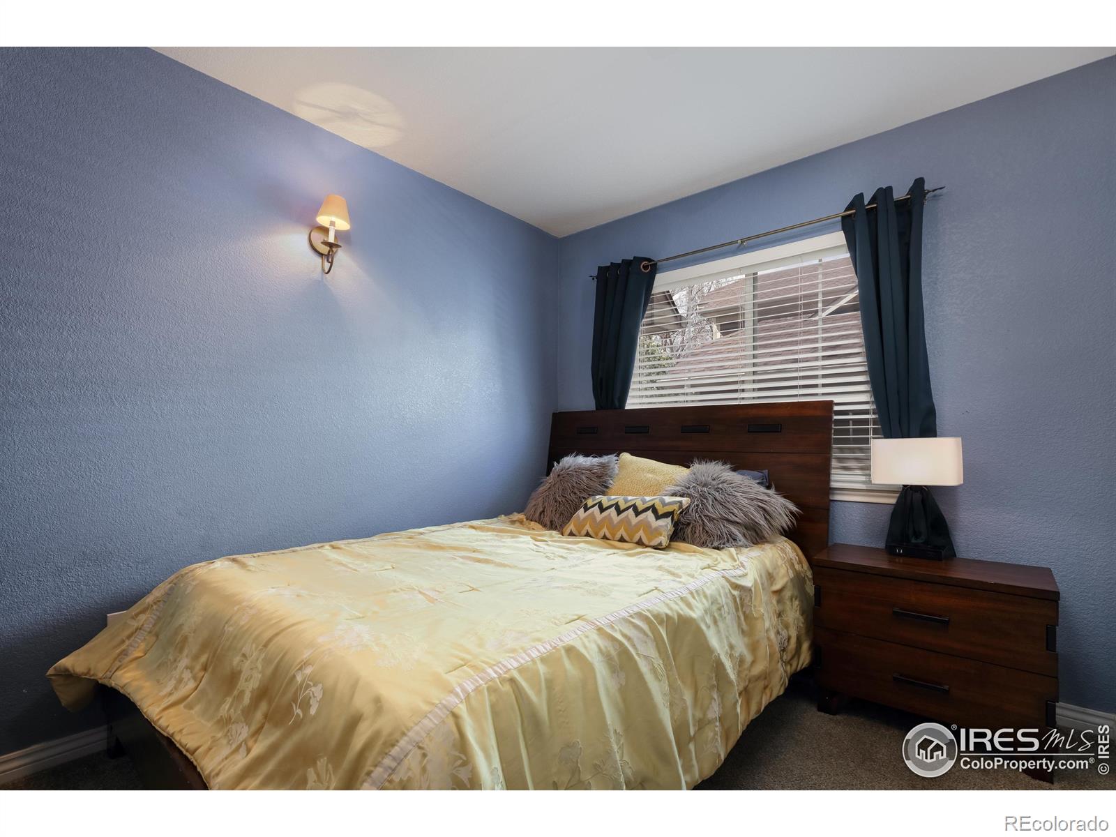 MLS Image #23 for 914  snowberry street,longmont, Colorado