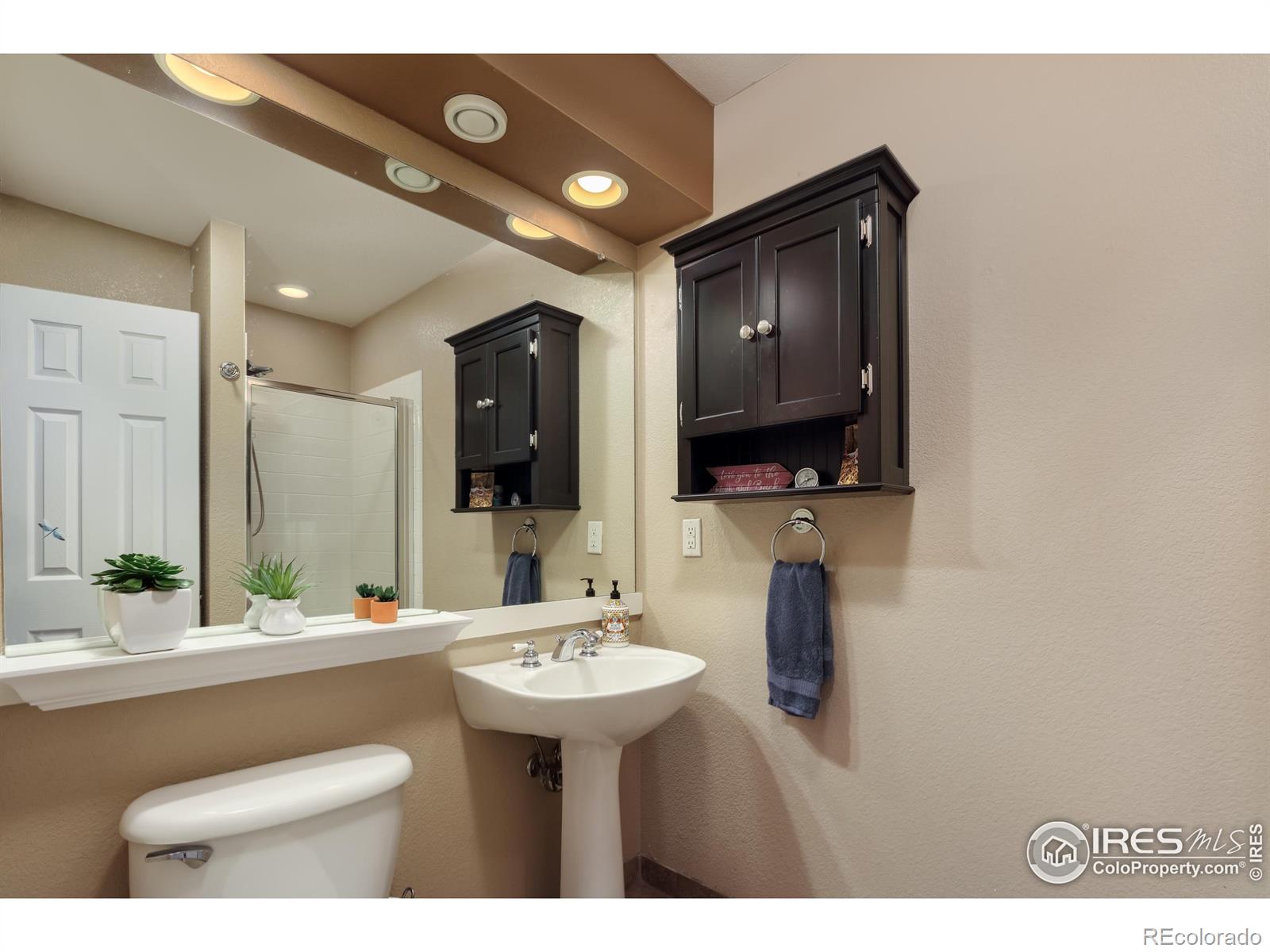 MLS Image #24 for 914  snowberry street,longmont, Colorado