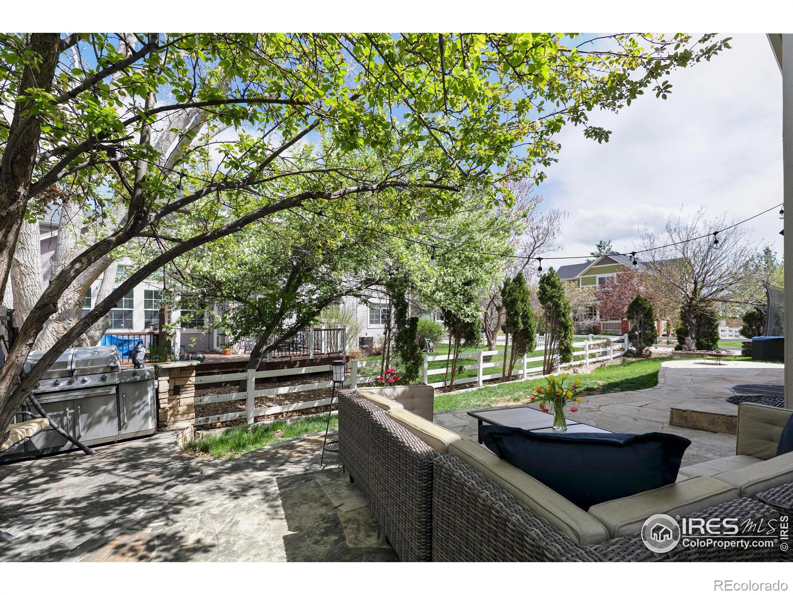 MLS Image #32 for 914  snowberry street,longmont, Colorado