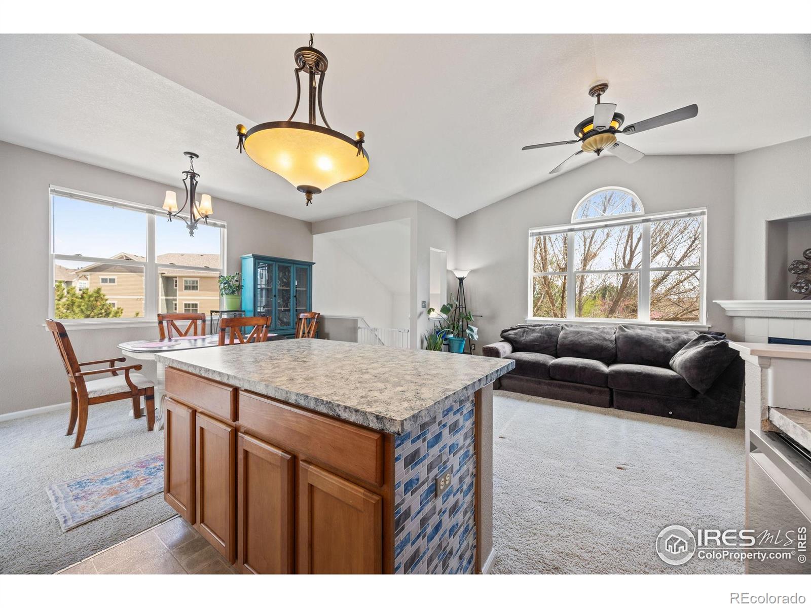 MLS Image #10 for 1977  grays peak drive,loveland, Colorado