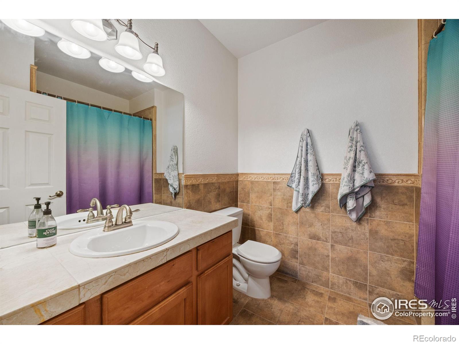 MLS Image #14 for 1977  grays peak drive,loveland, Colorado