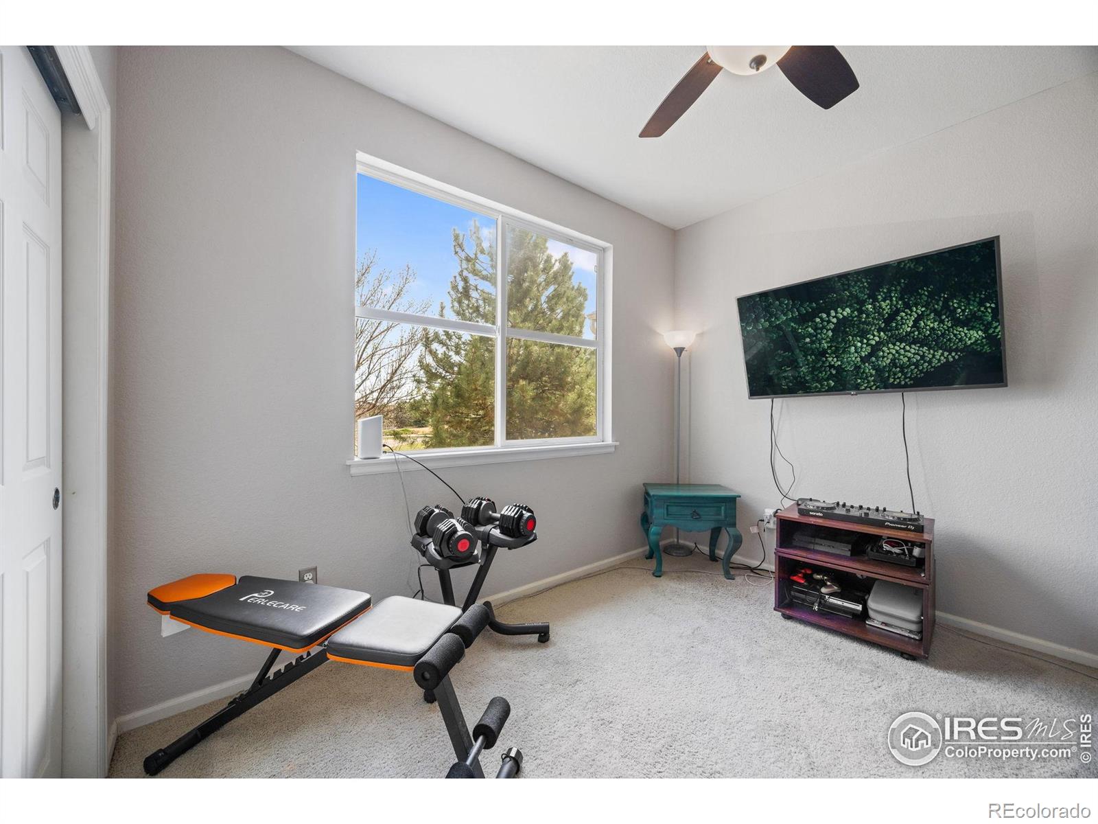 MLS Image #16 for 1977  grays peak drive,loveland, Colorado