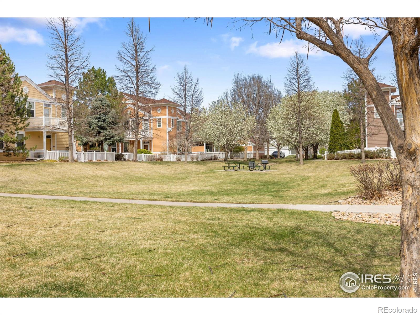 MLS Image #23 for 1977  grays peak drive,loveland, Colorado
