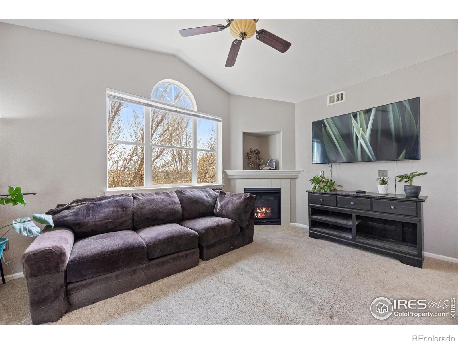 MLS Image #8 for 1977  grays peak drive,loveland, Colorado