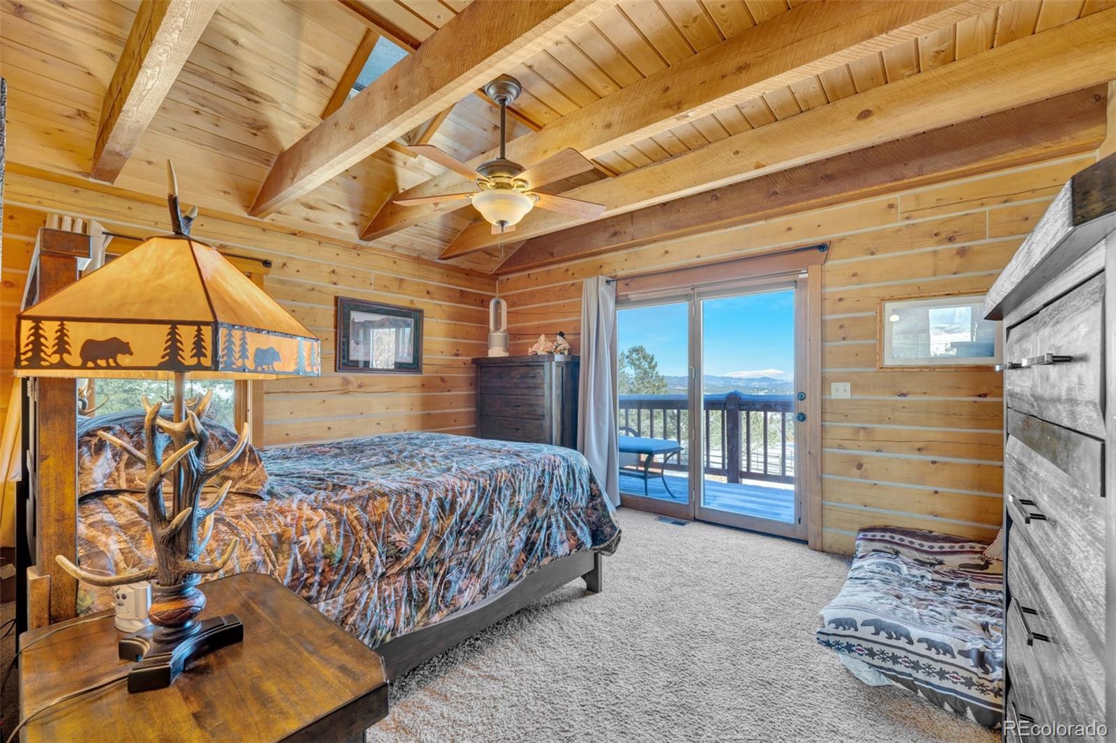 MLS Image #14 for 4005  oak grove circle,westcliffe, Colorado