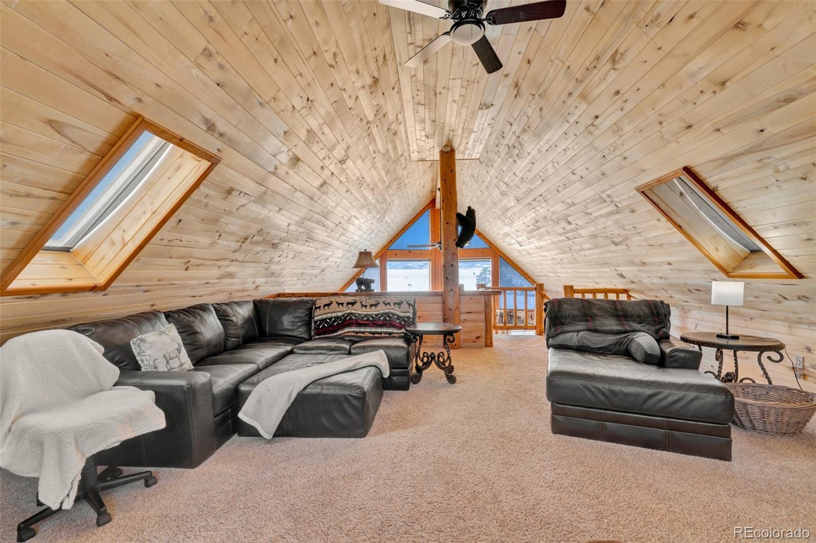 MLS Image #18 for 4005  oak grove circle,westcliffe, Colorado