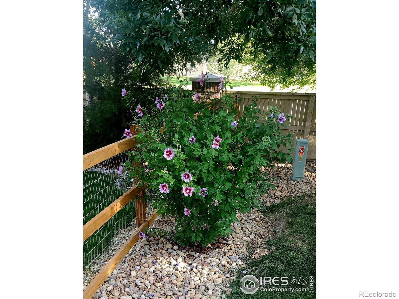 MLS Image #31 for 548  mathews circle,erie, Colorado