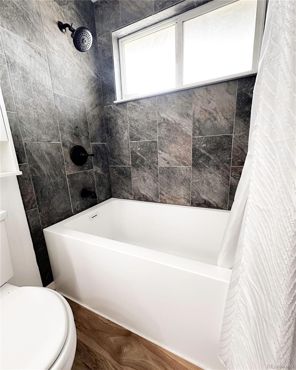 MLS Image #13 for 357  saturn place,lone tree, Colorado