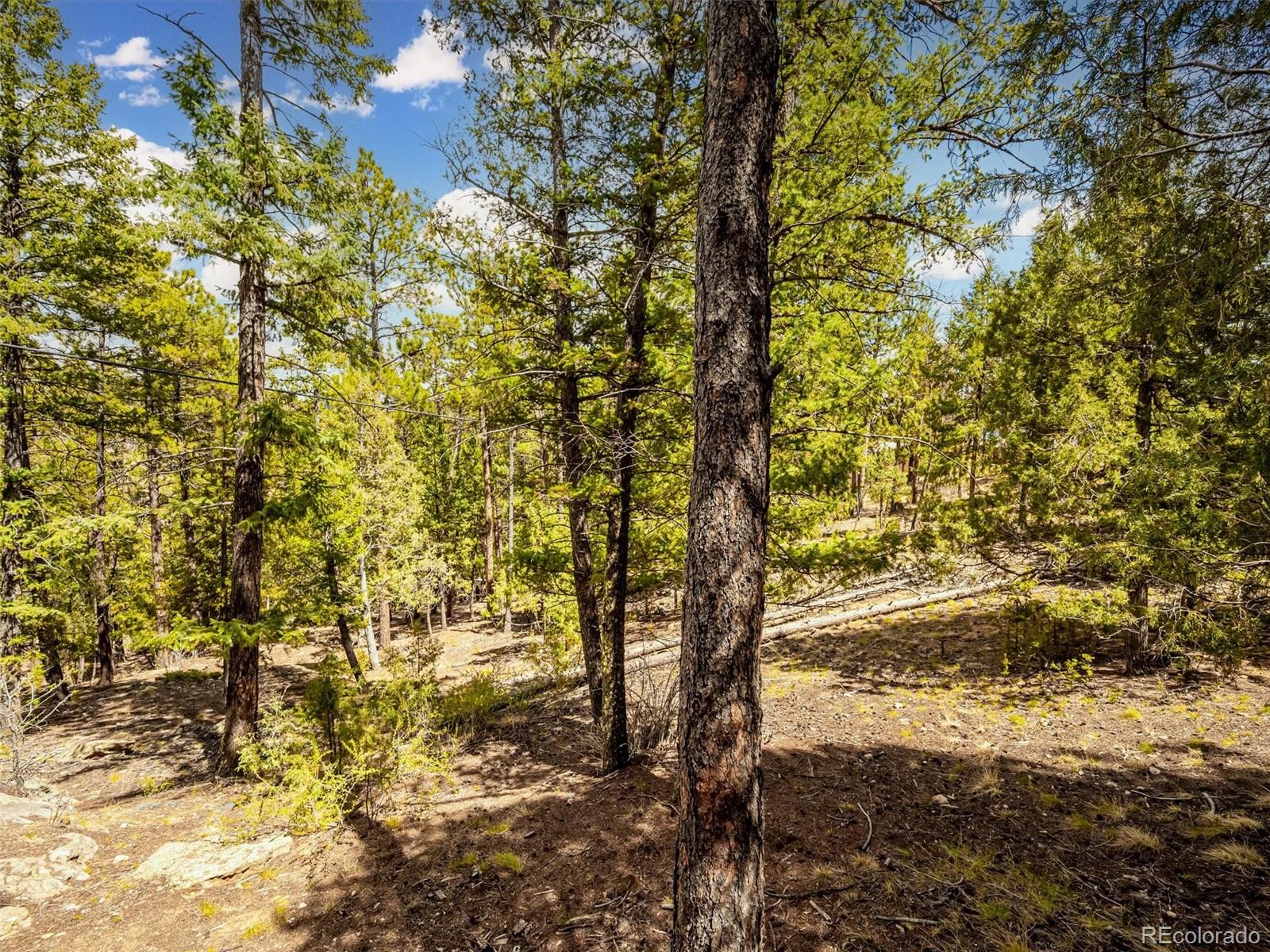 MLS Image #13 for 33431  lake lane,pine, Colorado