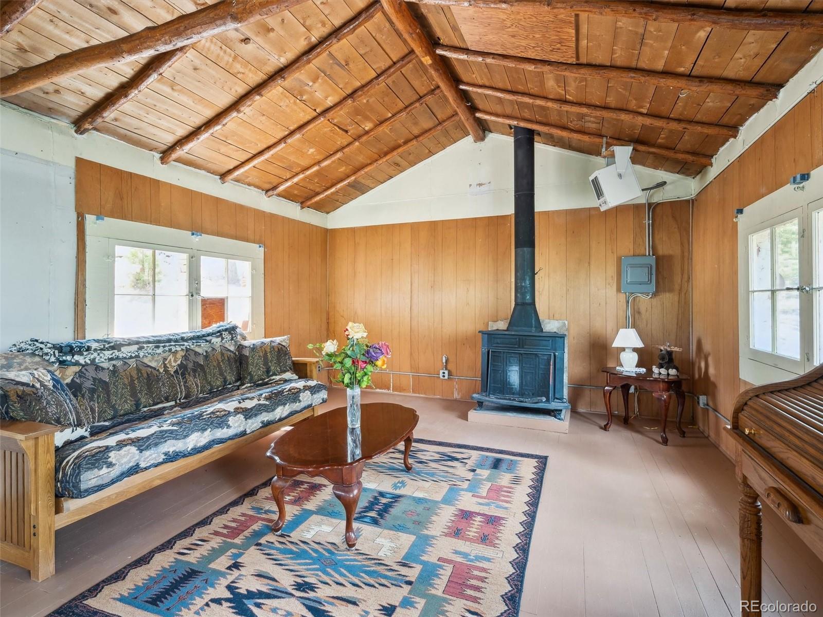 MLS Image #4 for 33431  lake lane,pine, Colorado