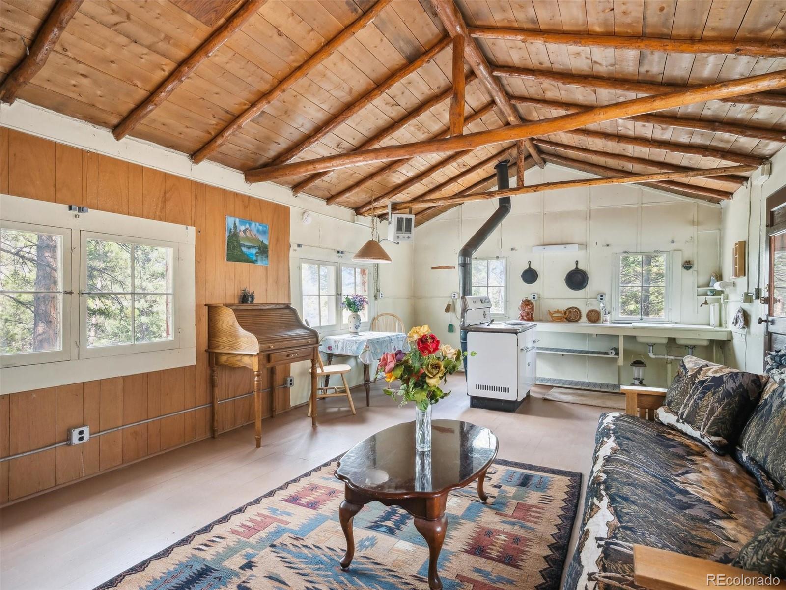 MLS Image #6 for 33431  lake lane,pine, Colorado