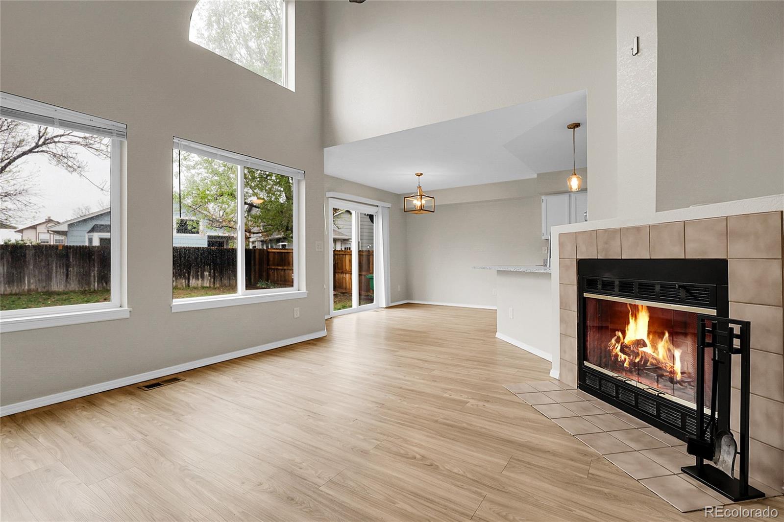 MLS Image #8 for 16928  dandelion way,parker, Colorado