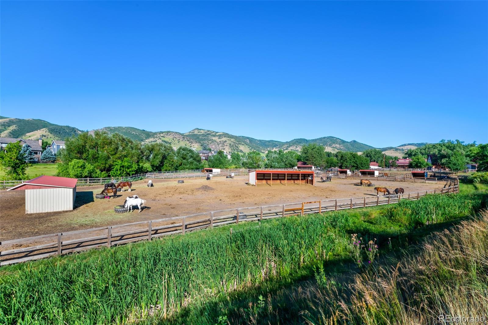 MLS Image #44 for 42  blue sage ,littleton, Colorado